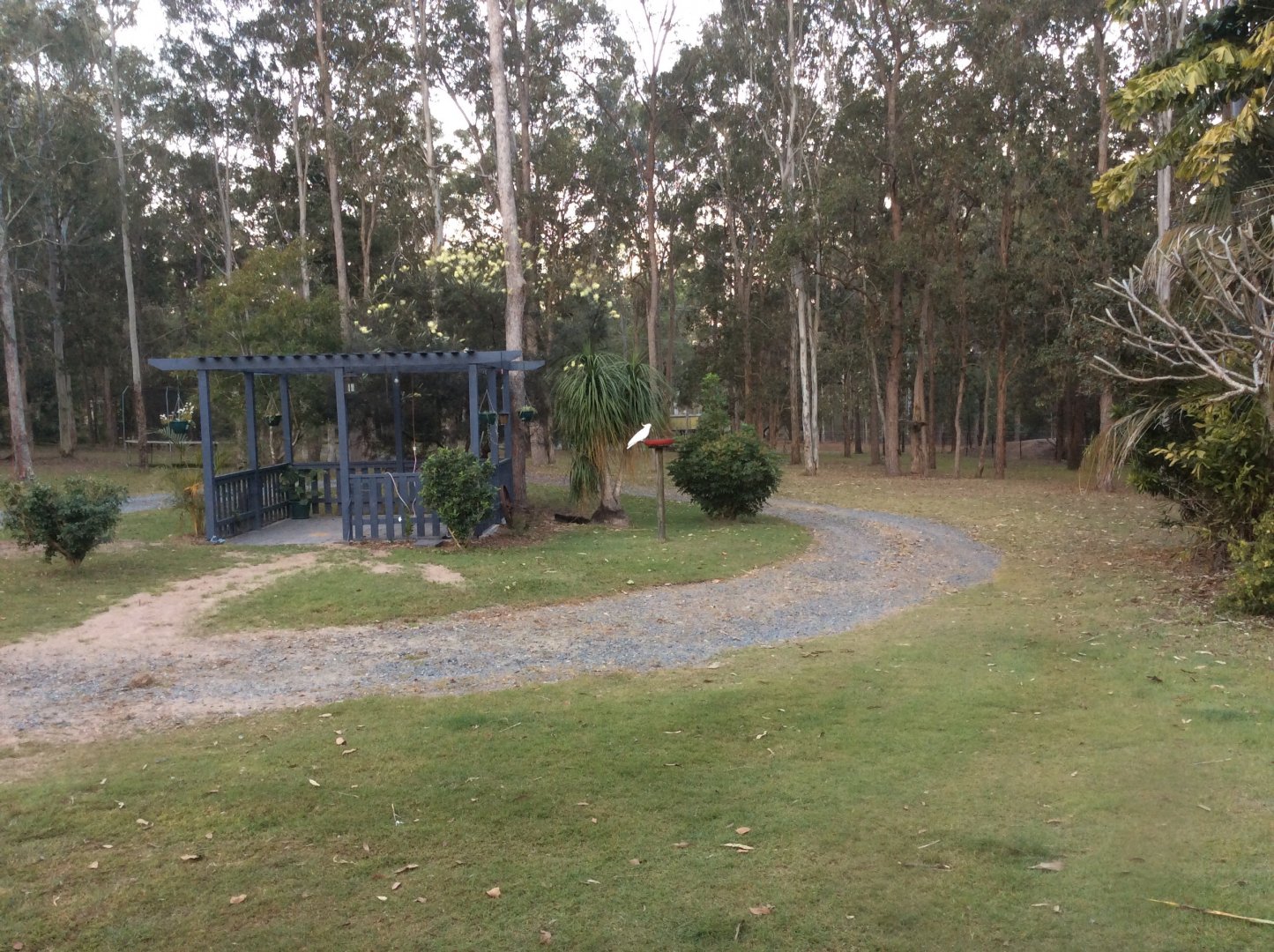 How many animals in this mixed enclosure ;)