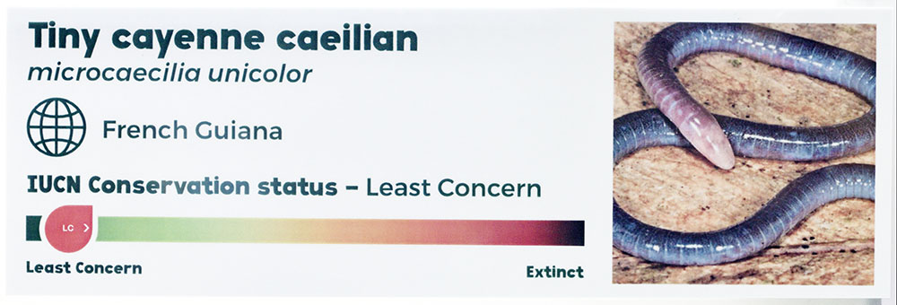 How many mistakes can you spot?