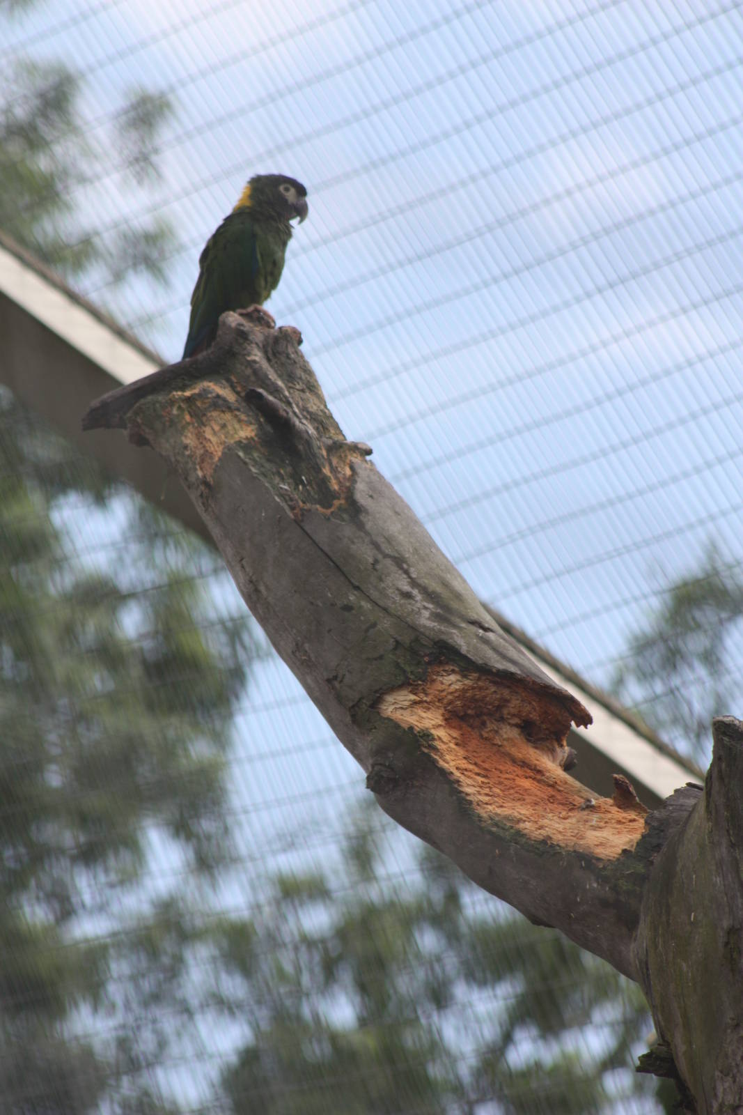 How much longer will this last? 7th July 2014