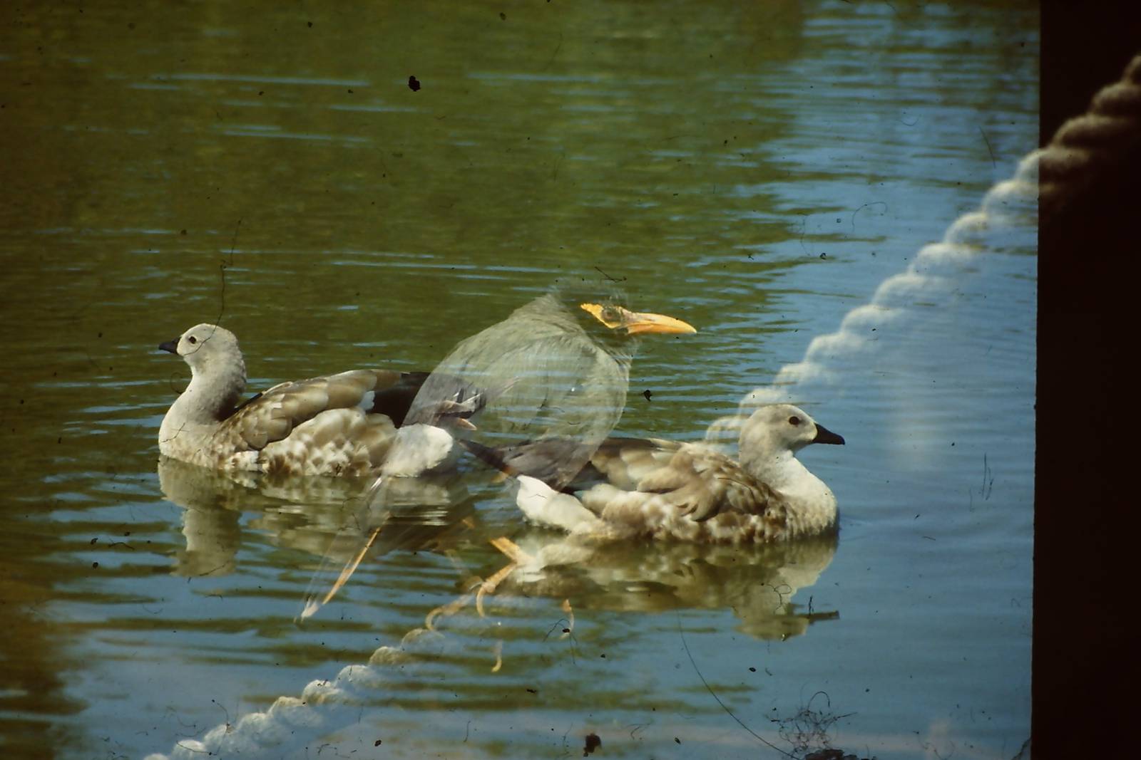 How not to be a photographer