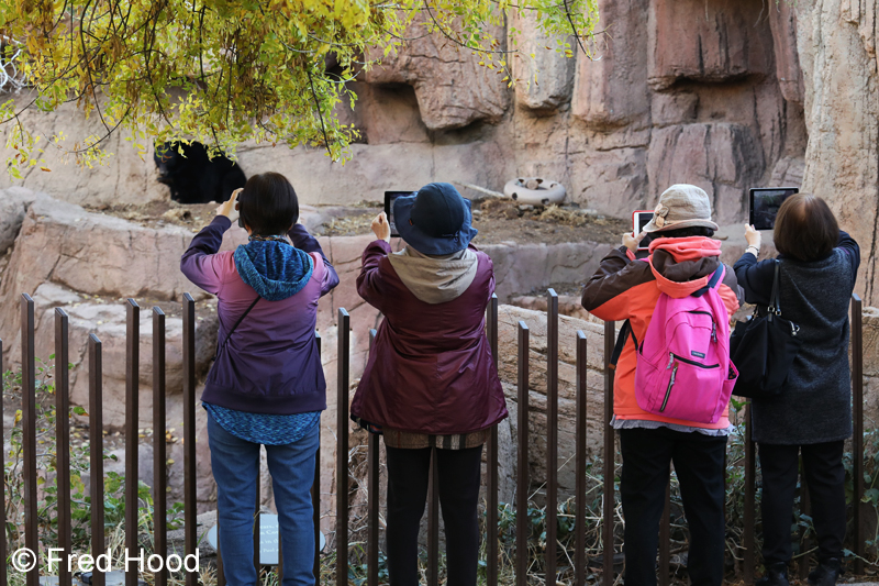 How not to photograph