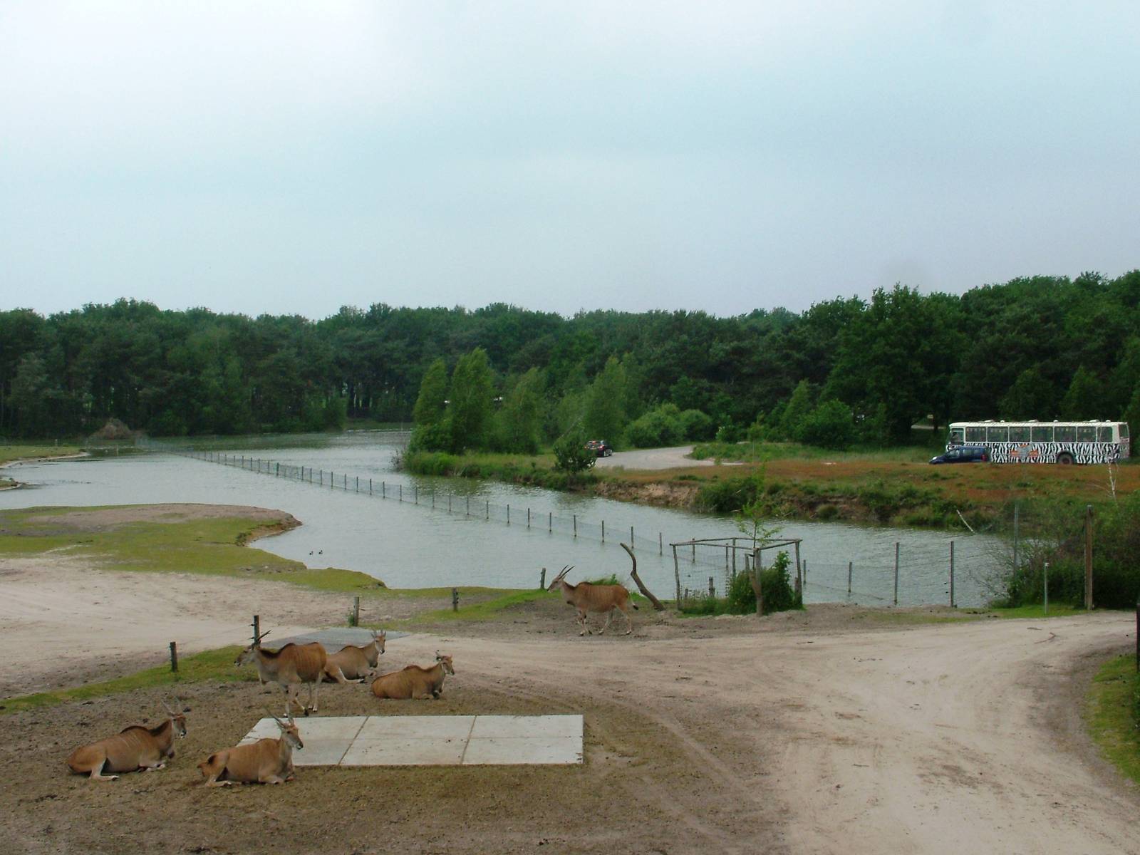 How the Trick is Done at Beekse Bergen, 31/05/12