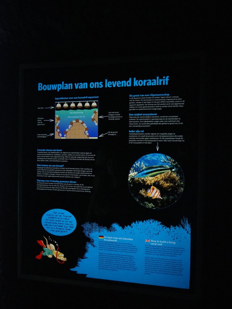 How to build a living reef sign (Sep 16th, 2018)