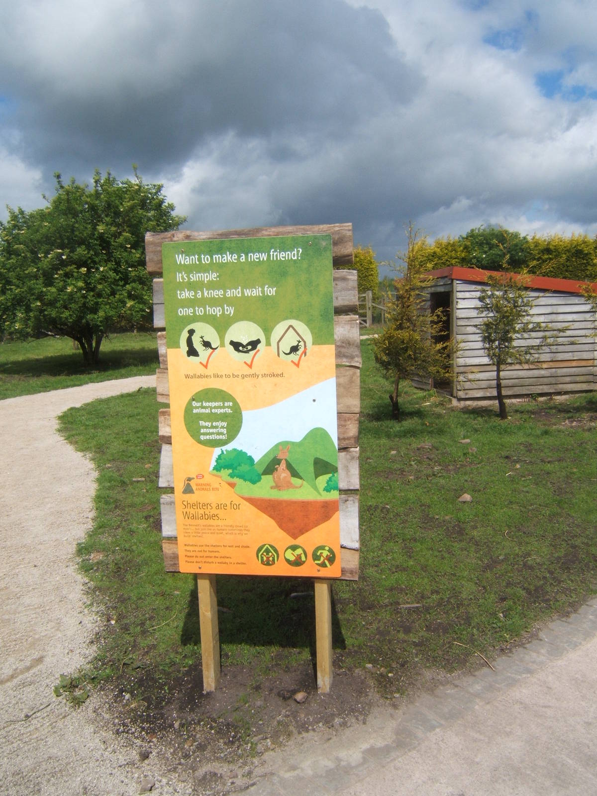 How to have a close encounter with a Wallaby