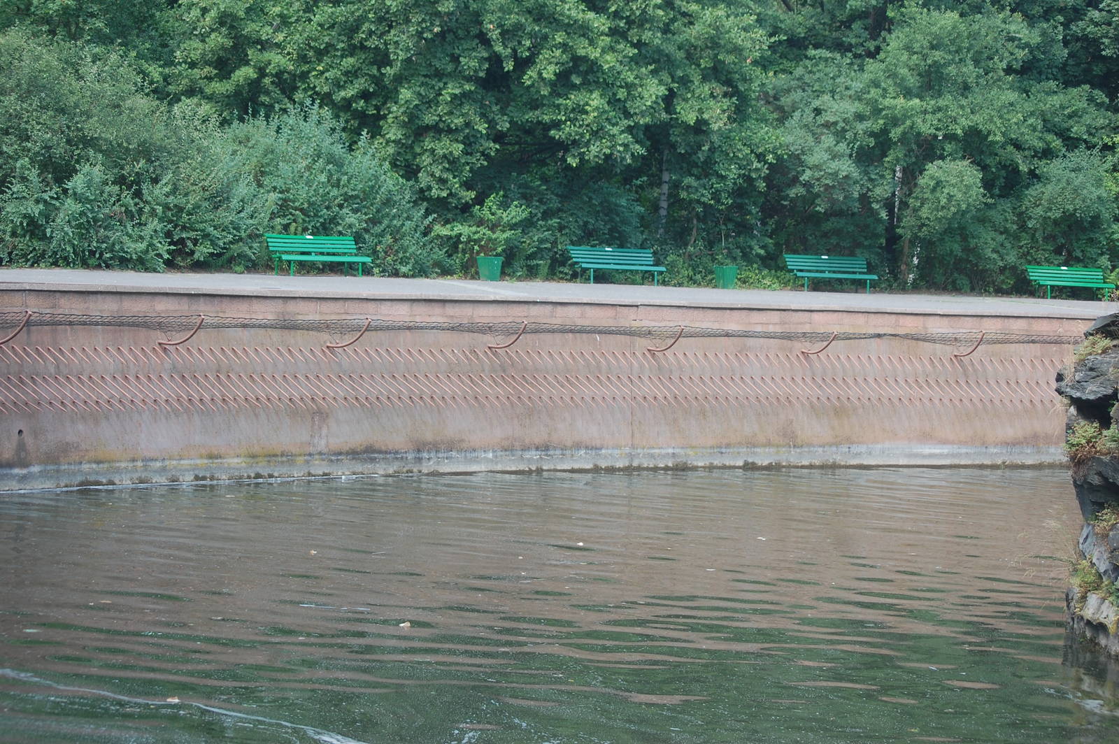 How to keep Polar Bears in