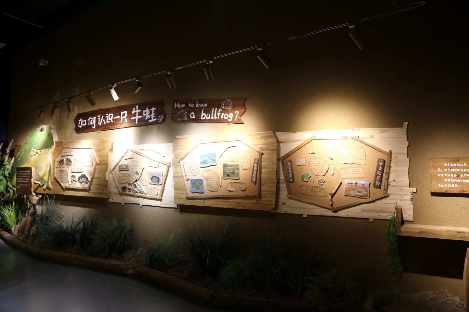 “How to Know a Bullfrog”