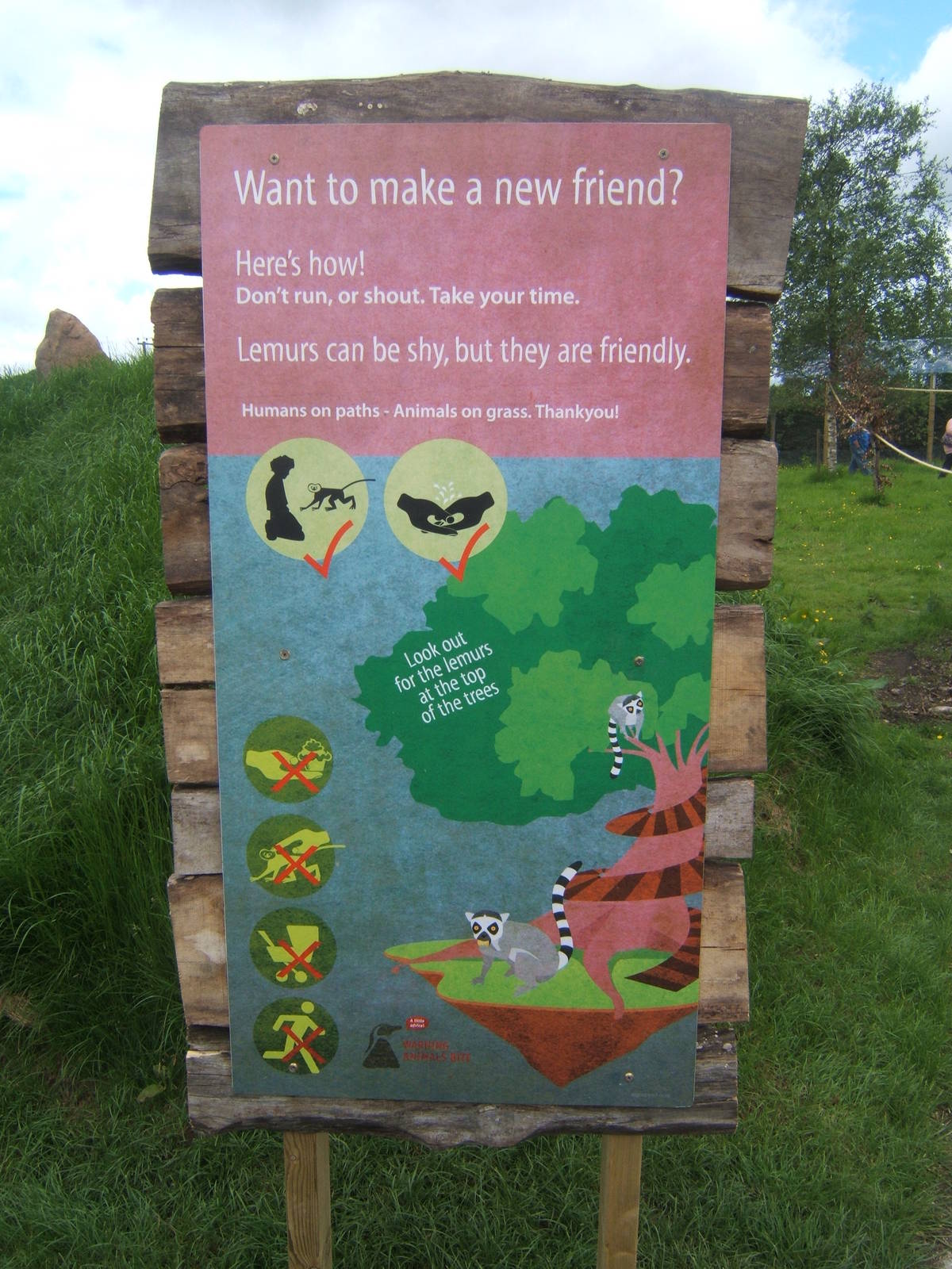 How to make a friend