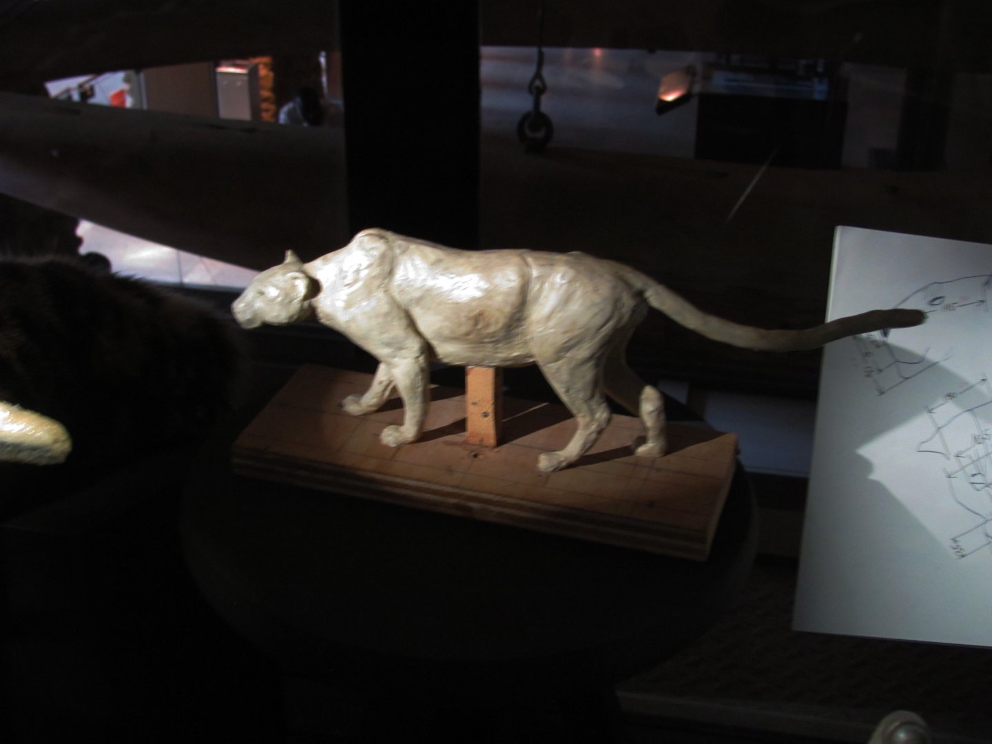 How To Mount A Leopard Part 2