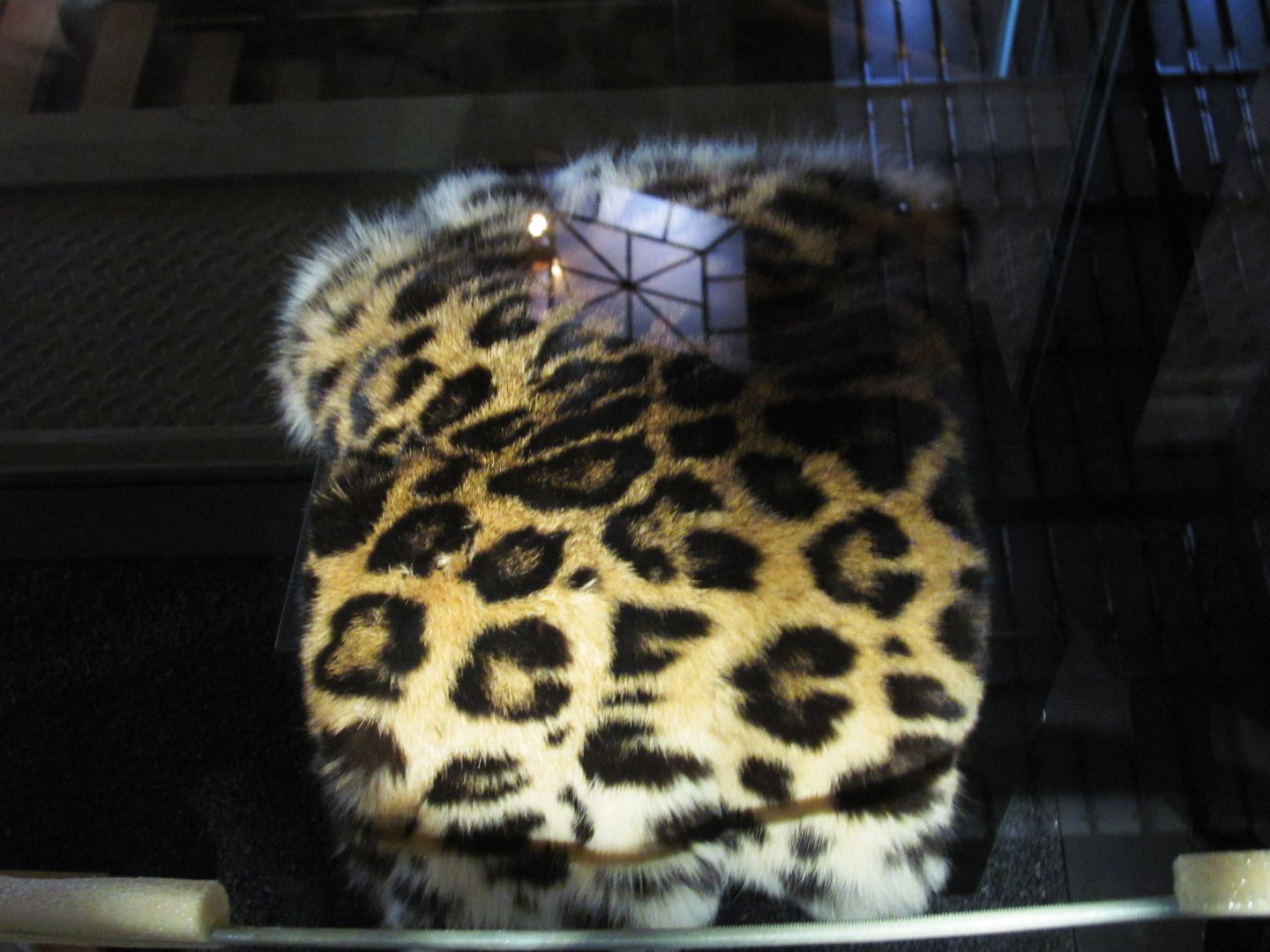 How To Mount A Leopard Part 3
