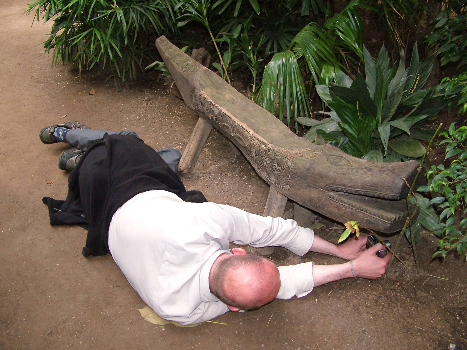 How to Photograph a Pheasant at NOP, Veldhoven 16/05/09