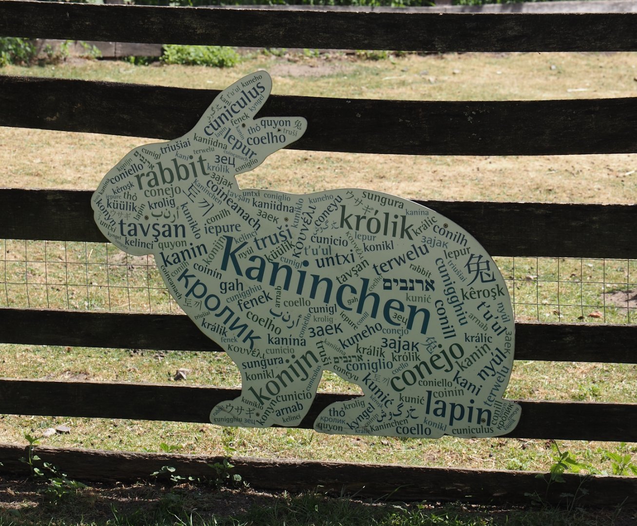 How to say rabbit in many languages sign, 2025-05-22