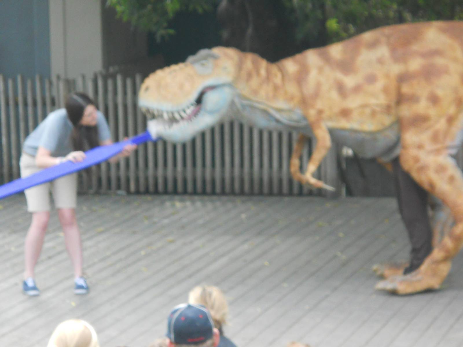 How to Train Your Dinosaur show