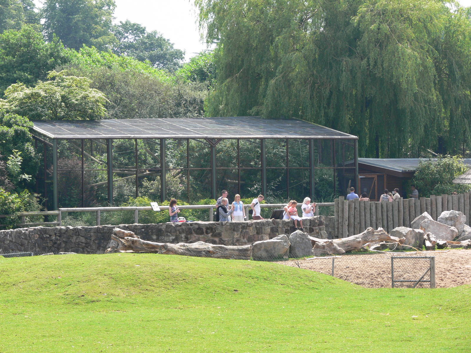 Howler exhibit at Chester Zoo, 06/07/13