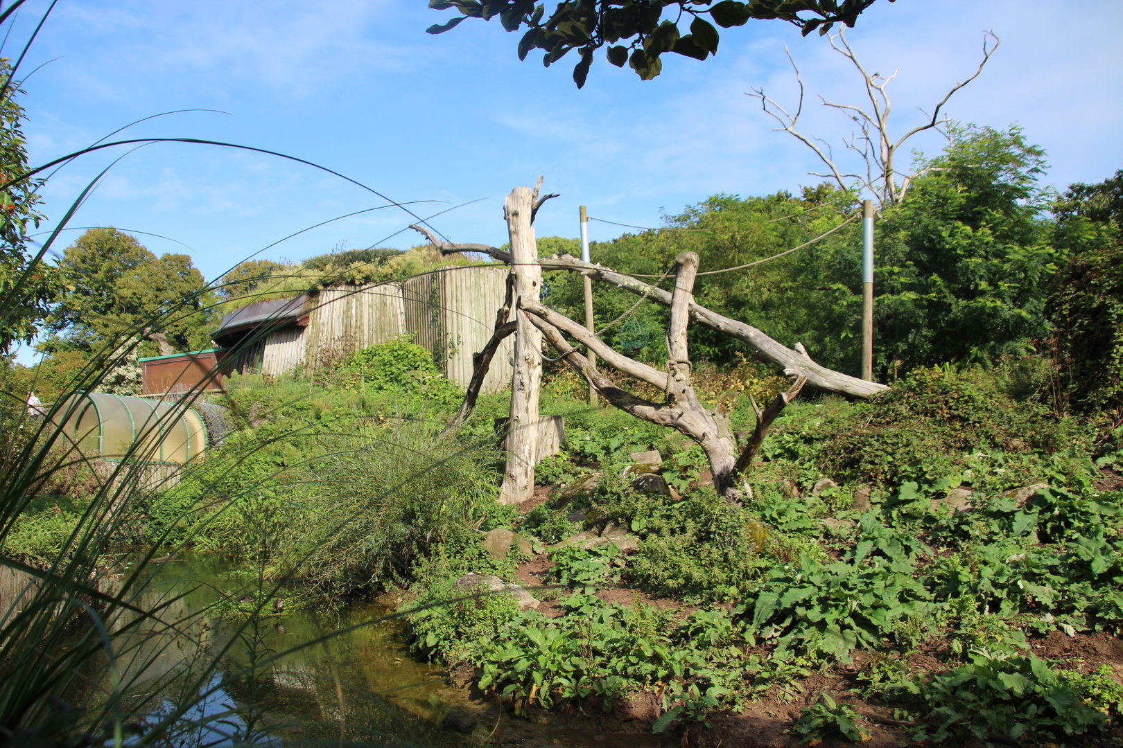 Howler Monkey and Warty Pig Enclosure