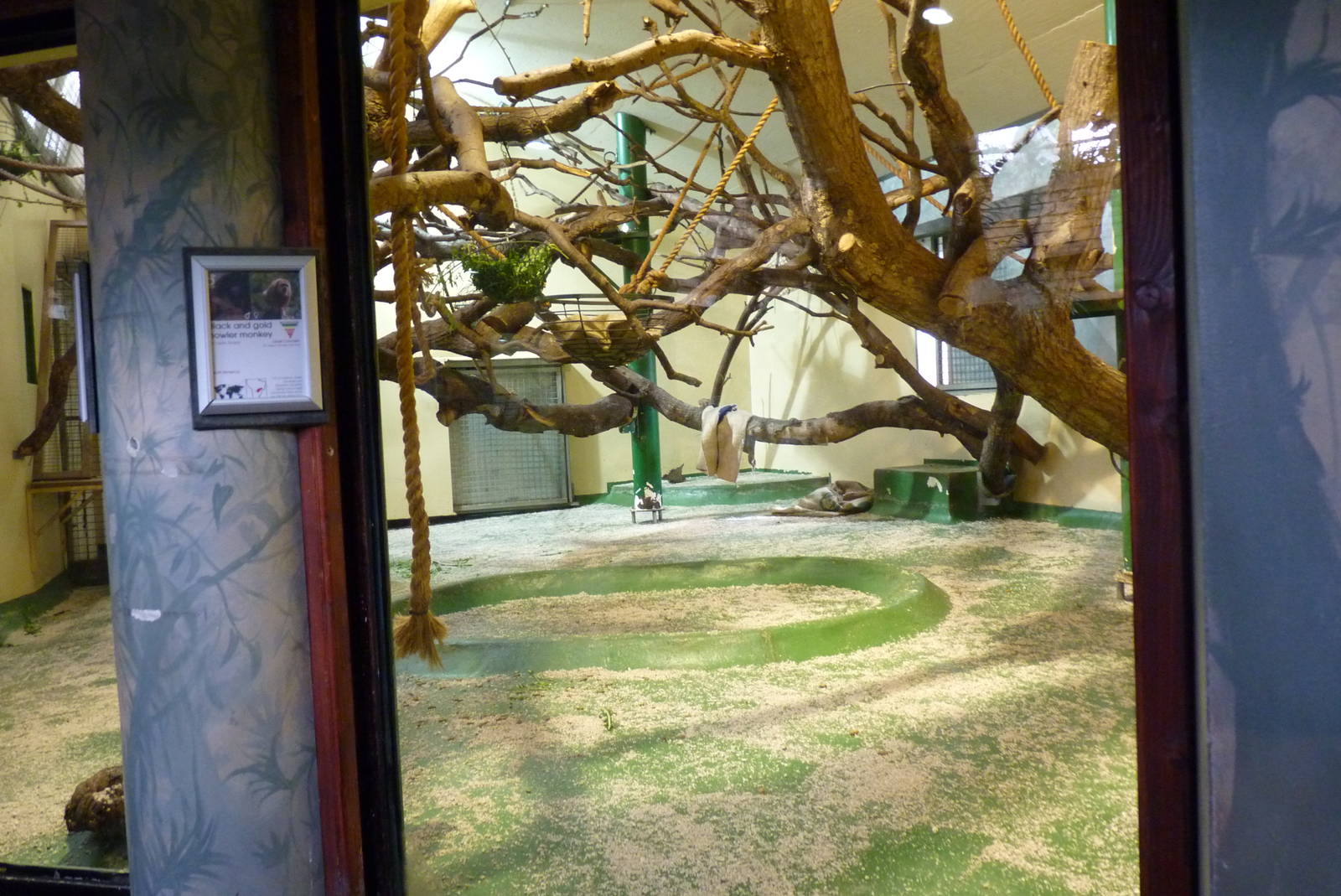 Howler Monkey Den, April 2013