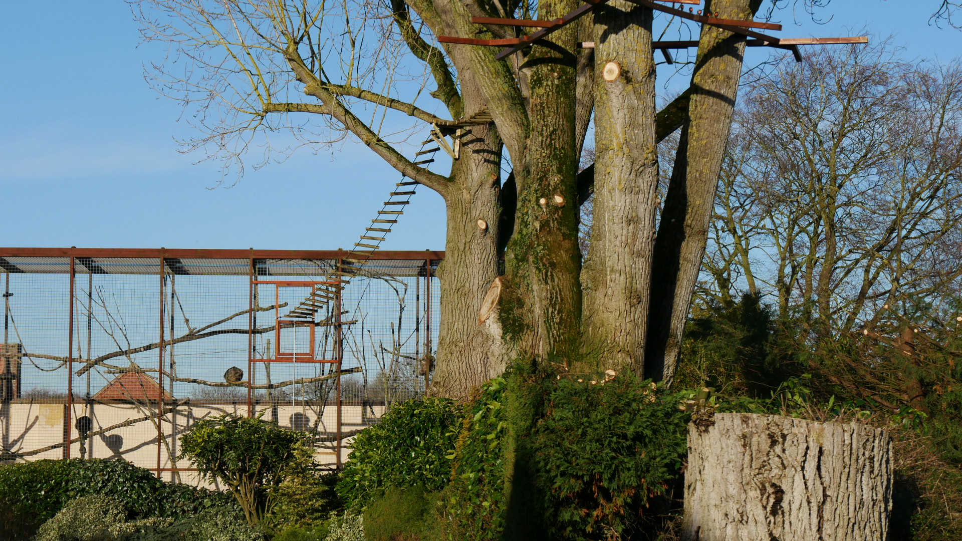 Howler Monkey Eclosure Re-Vamp