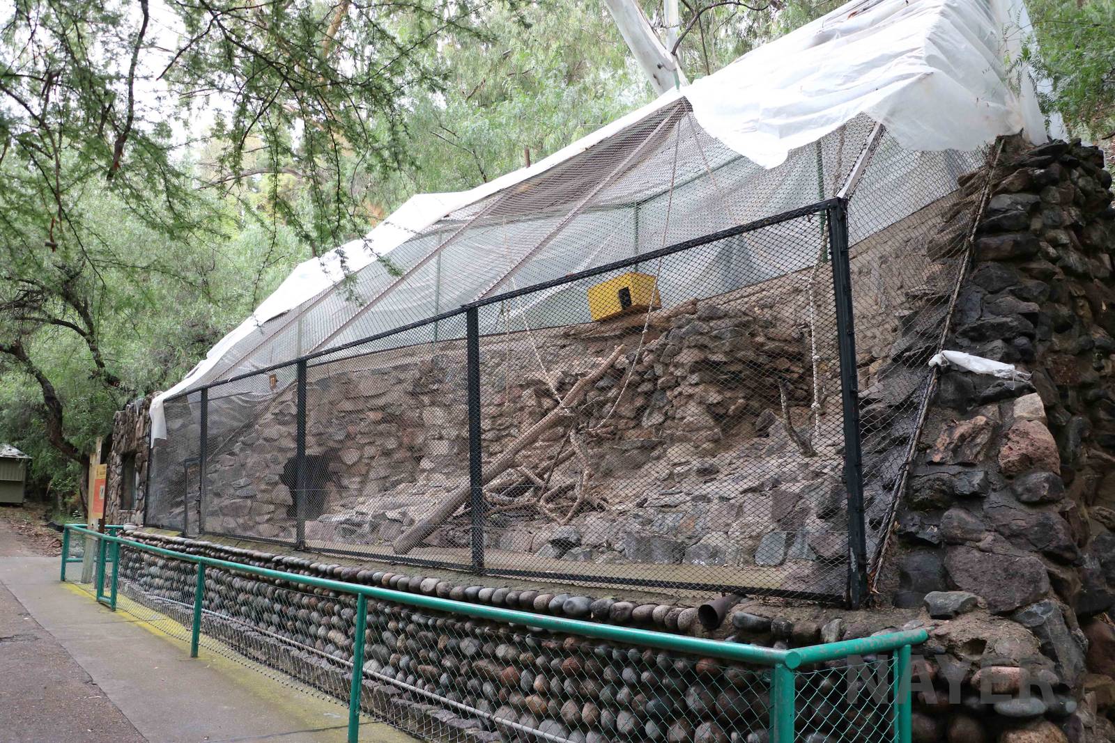 Howler monkey enclosure - Mendoza Zoo, April 2016