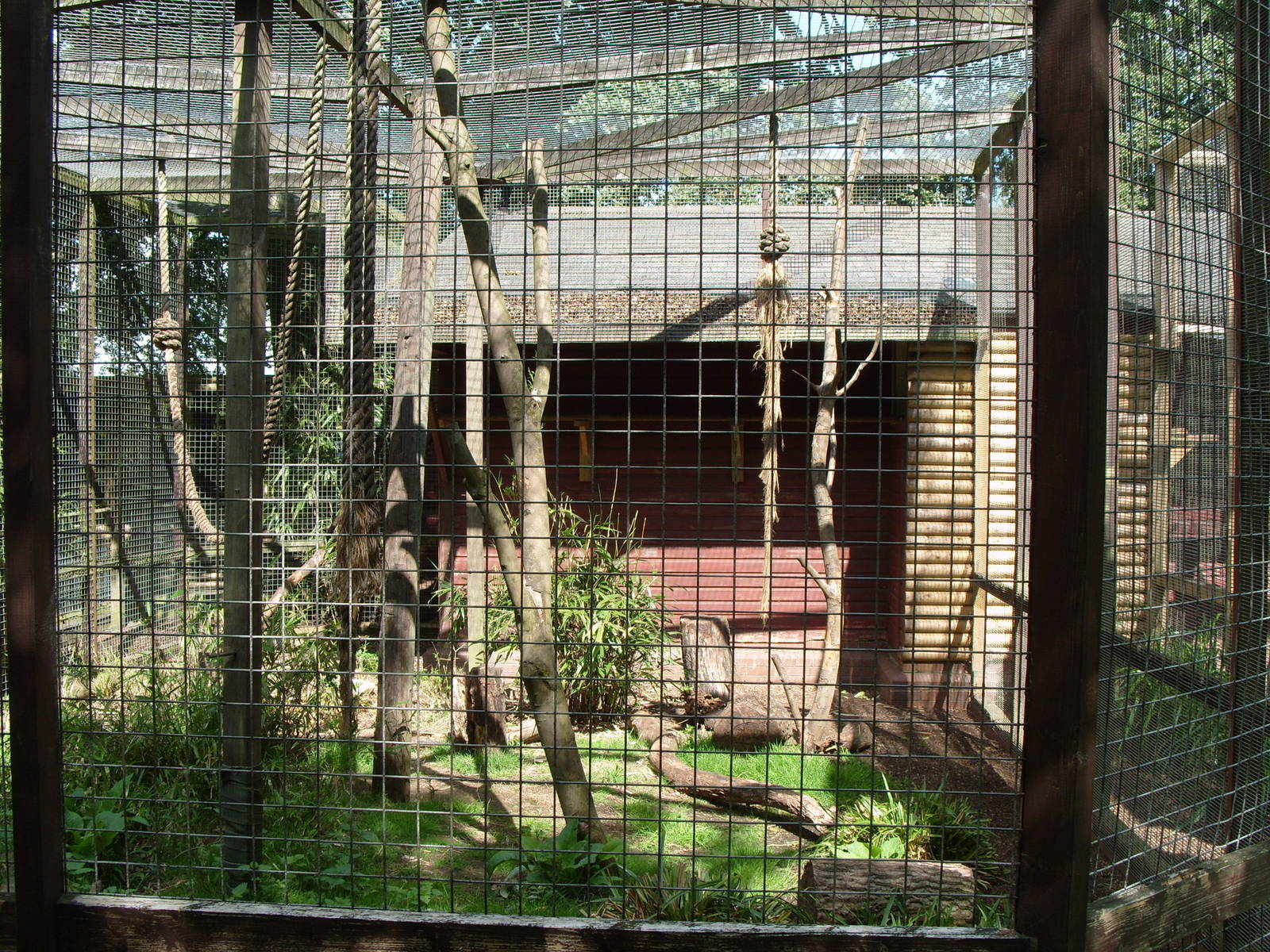 HOWLER MONKEY ENCLOSURE