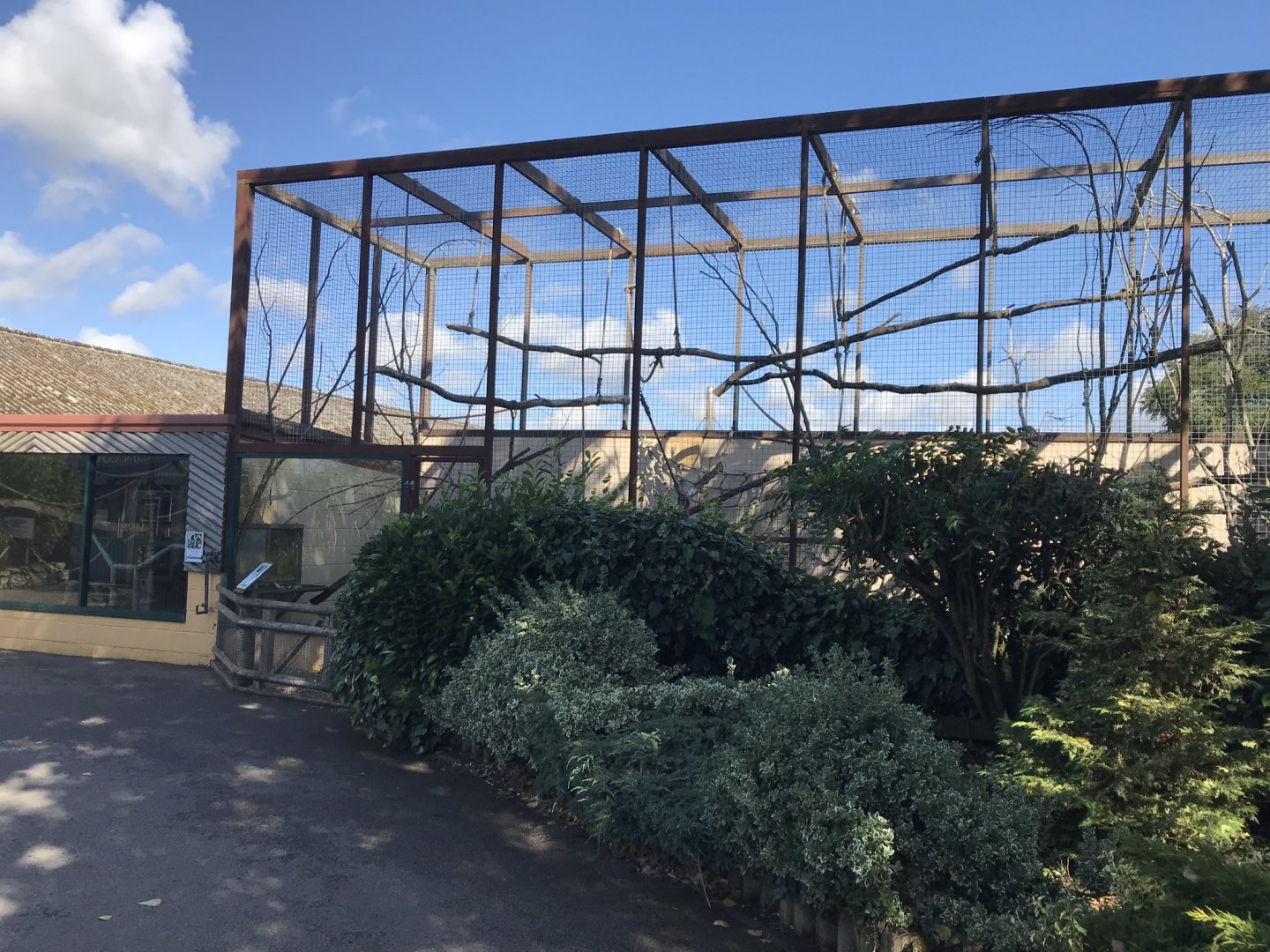 Howler monkey exhibit 100818