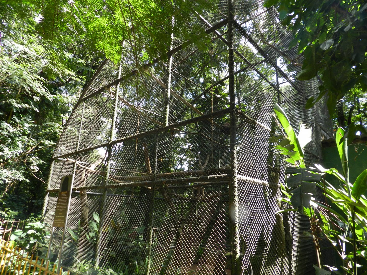 Howler monkey exhibit - Belo Horizonte zoo