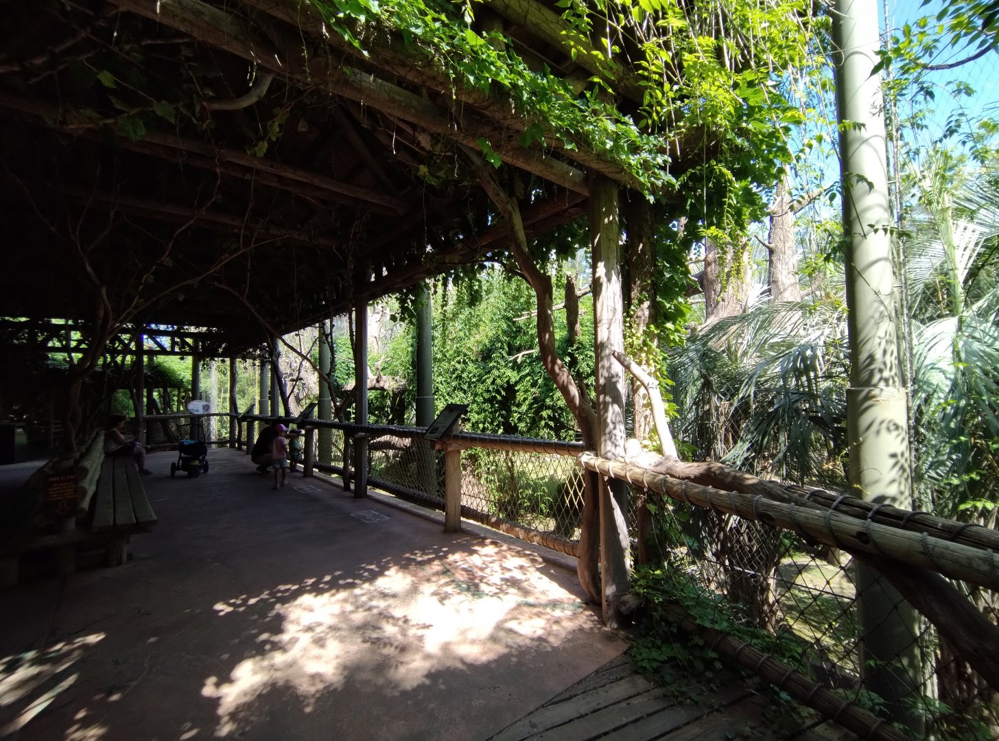 Howler monkey exhibit - Temaiken