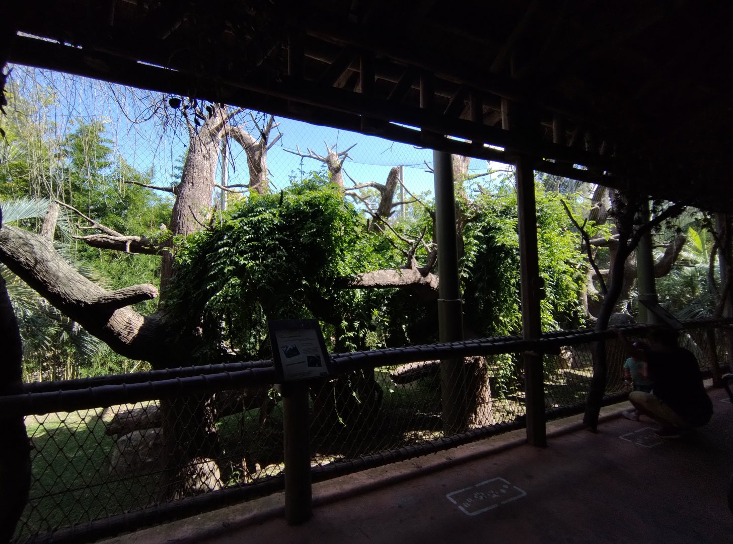 Howler monkey exhibit - Temaiken
