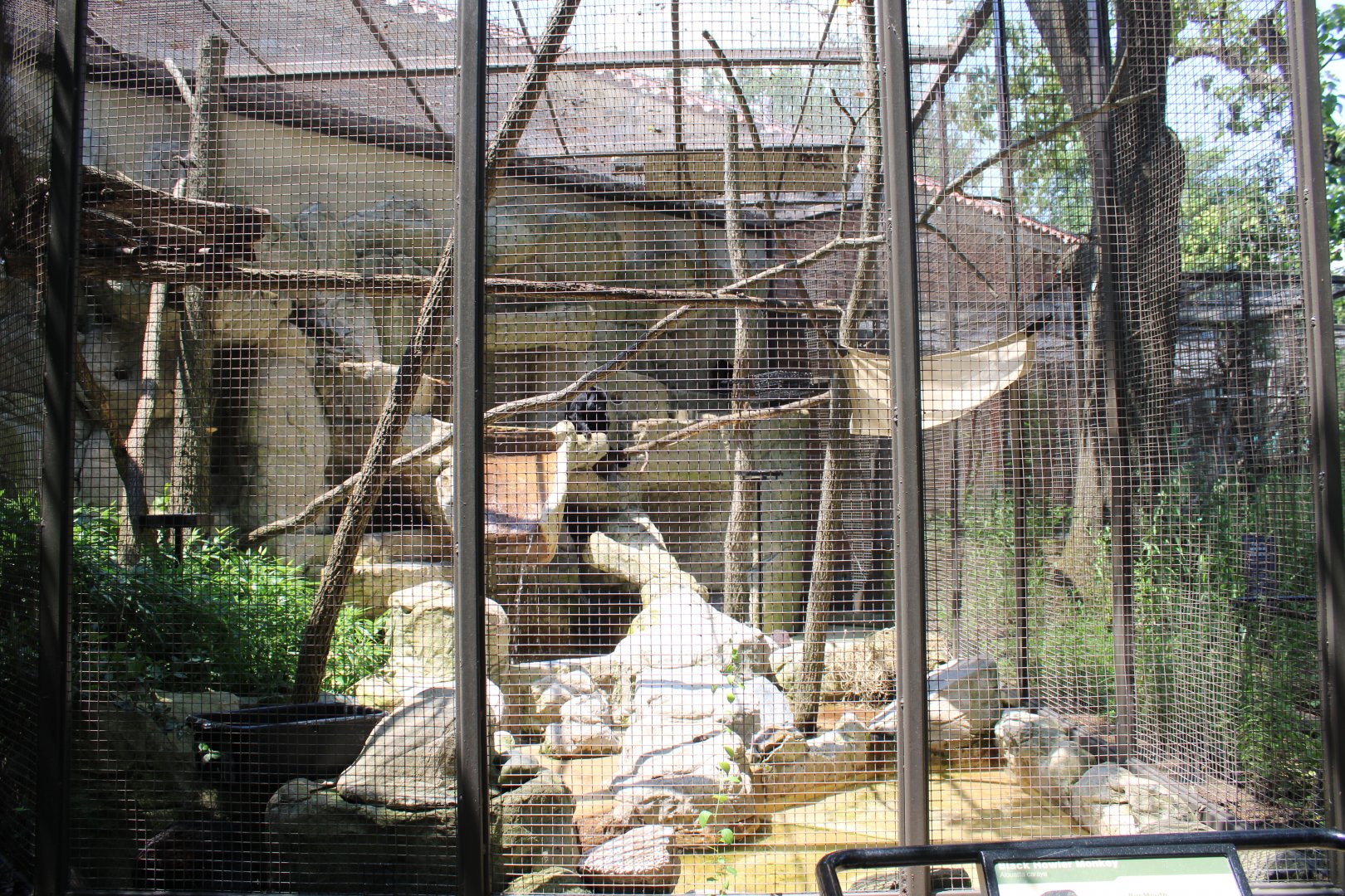 Howler Monkey Exhibit