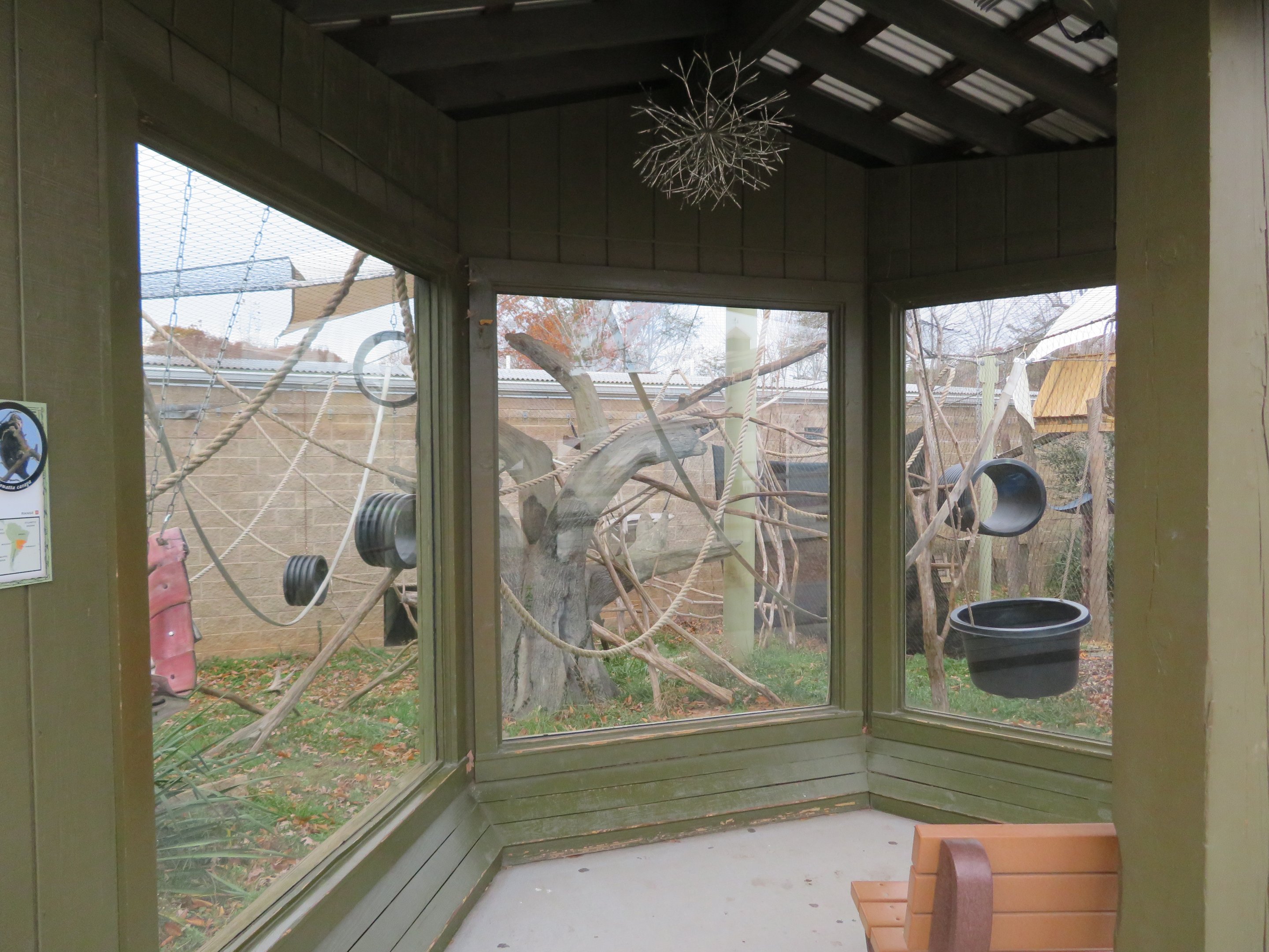 Howler Monkey Exhibit