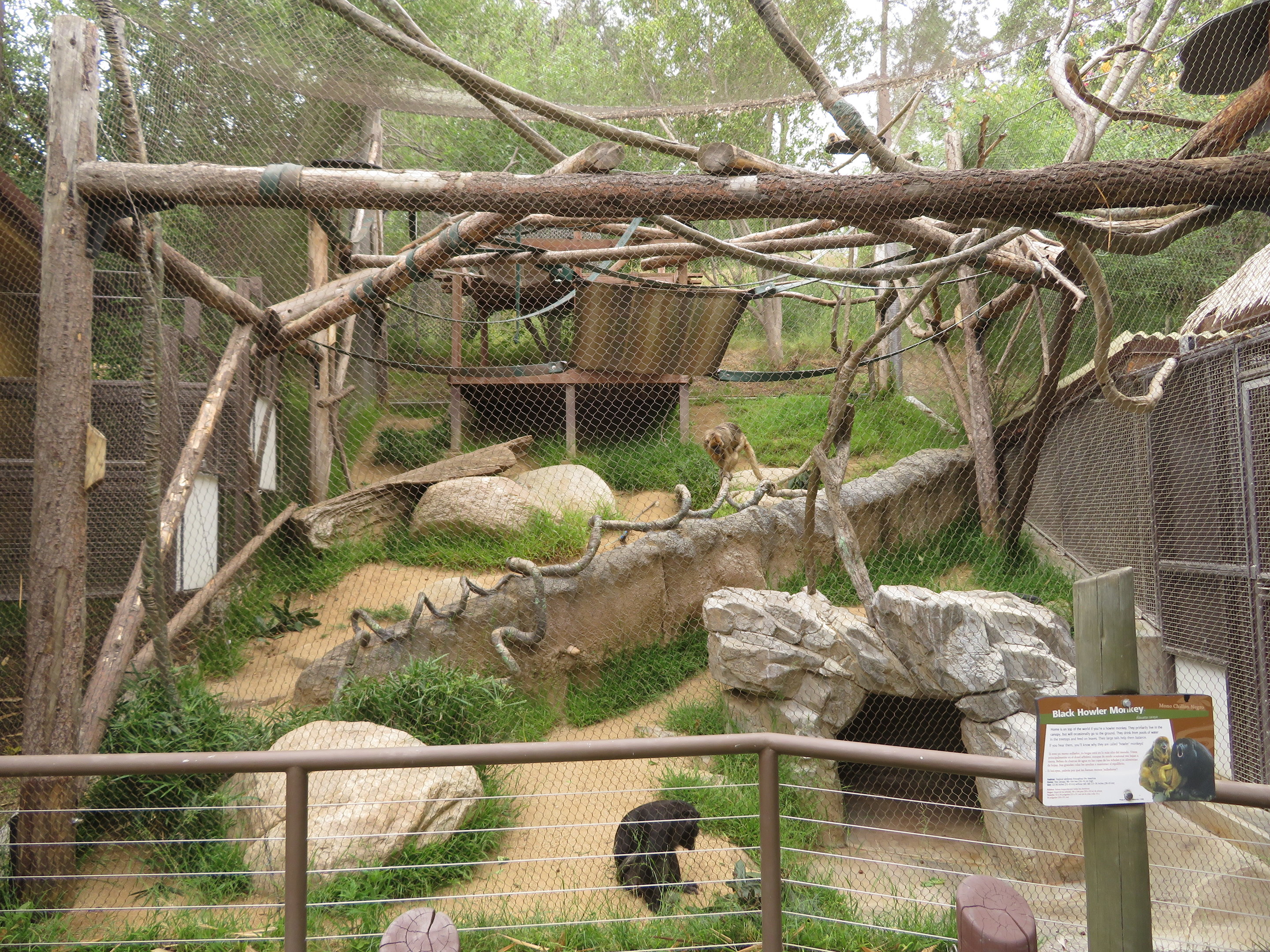 Howler Monkey Exhibit