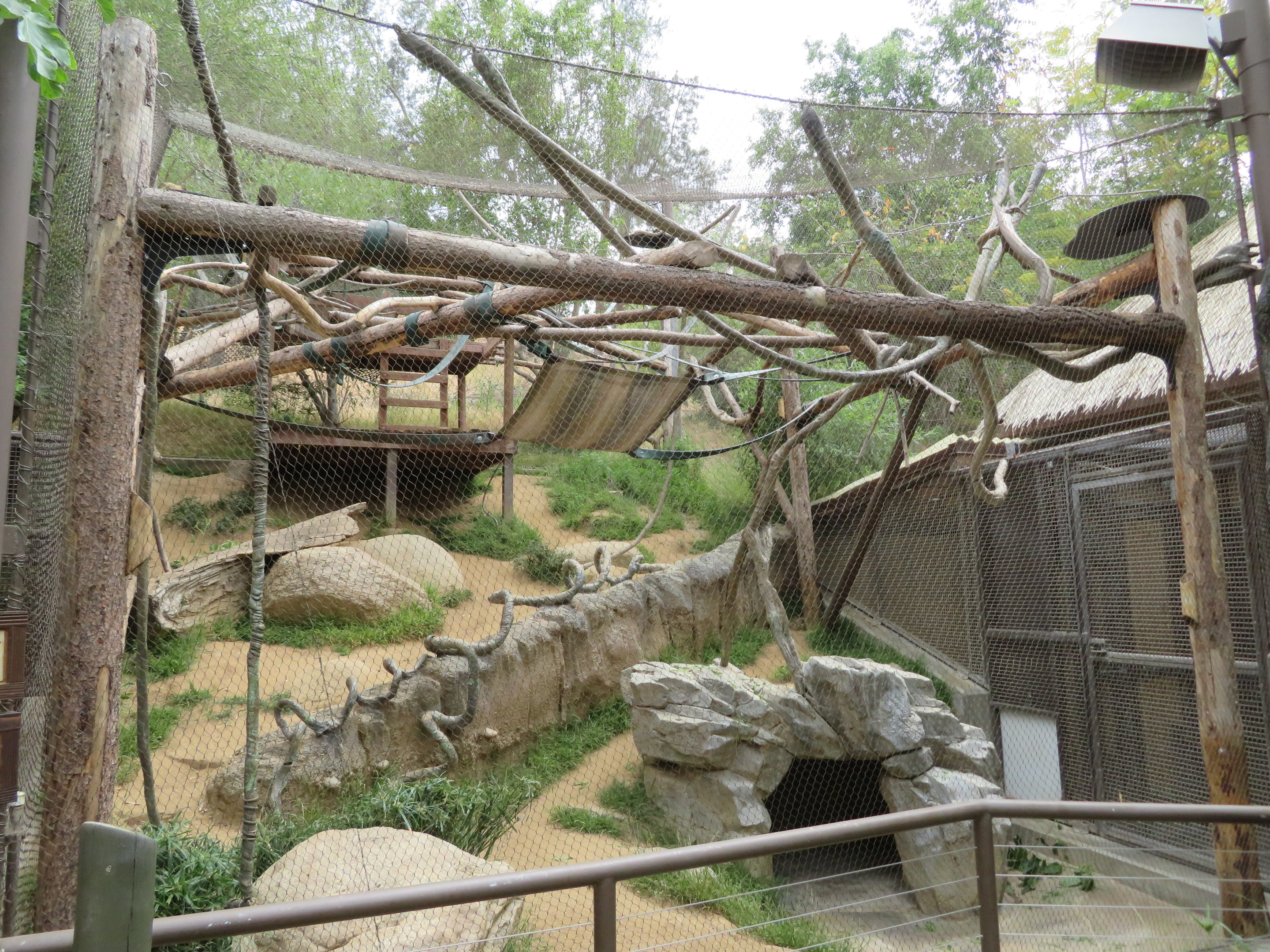 Howler Monkey/Paca Exhibit