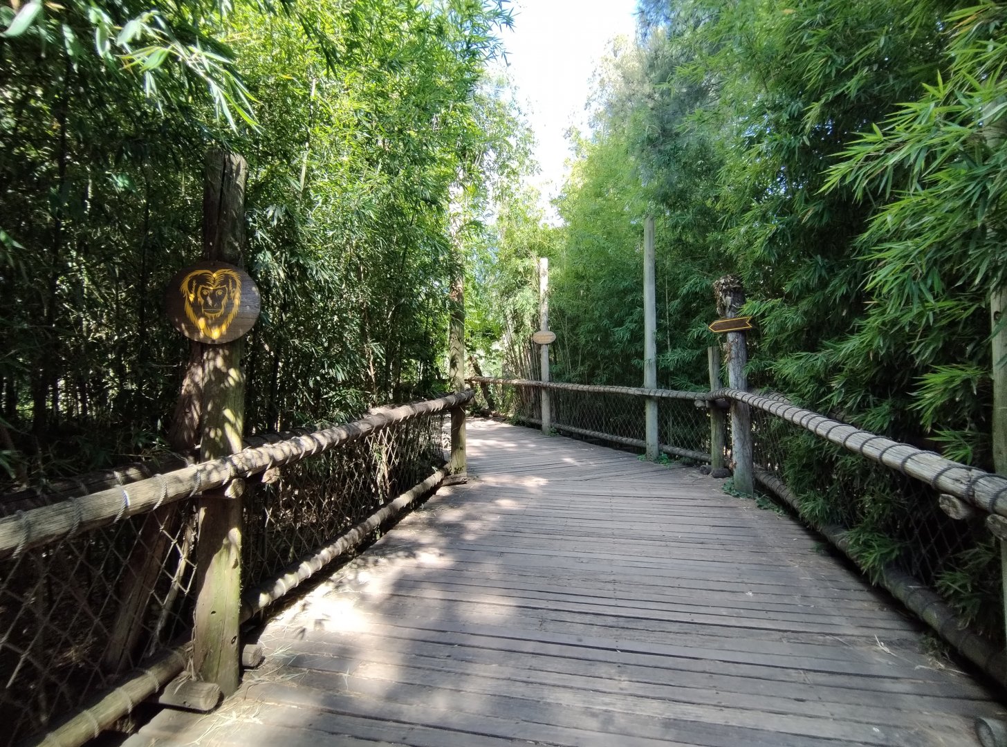 Howler monkey trail - Temaiken