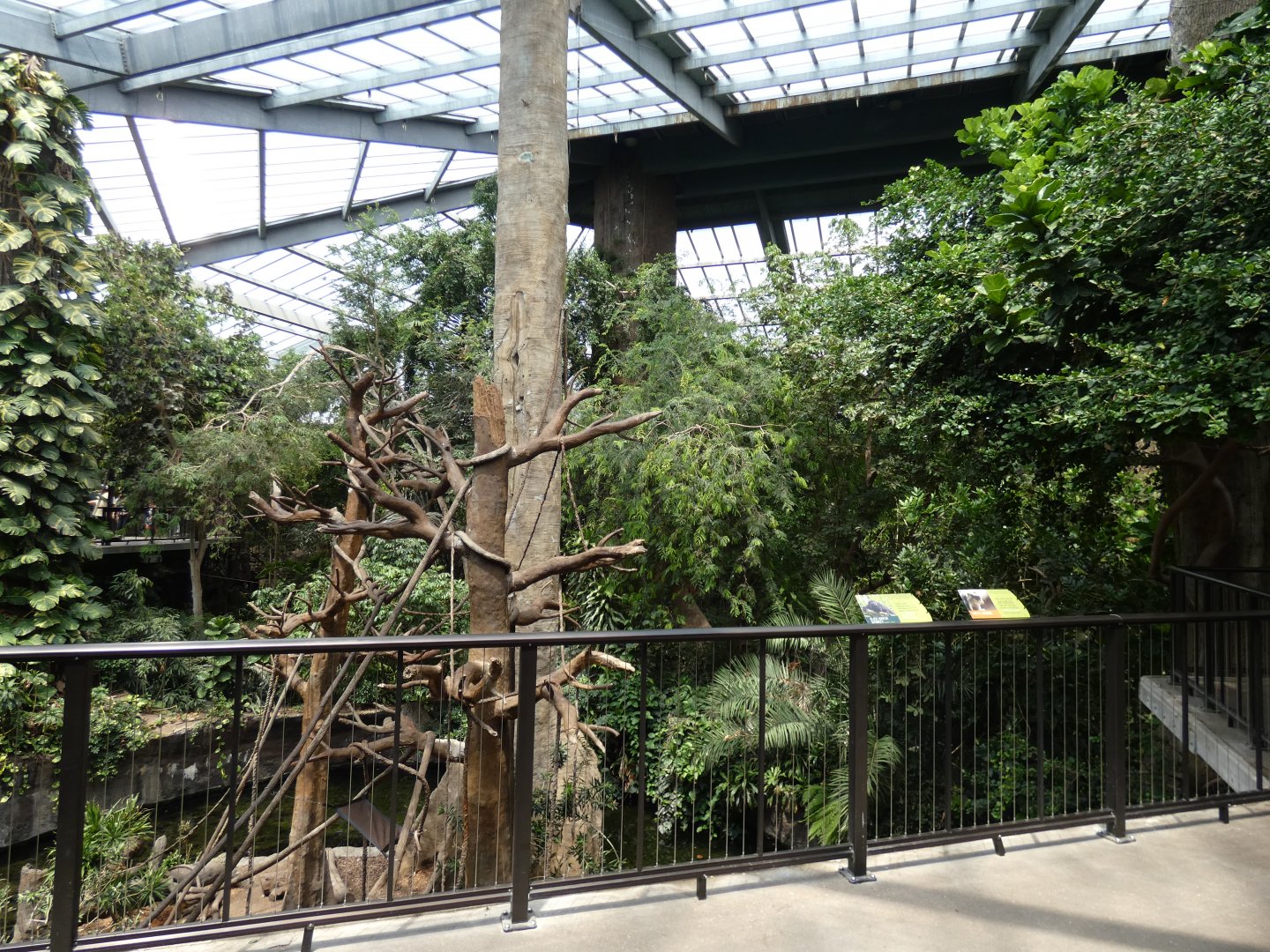 Howler Monkey & Wolf's Guenon Exhibit, Africa, Lied Jungle - Jun. 2021
