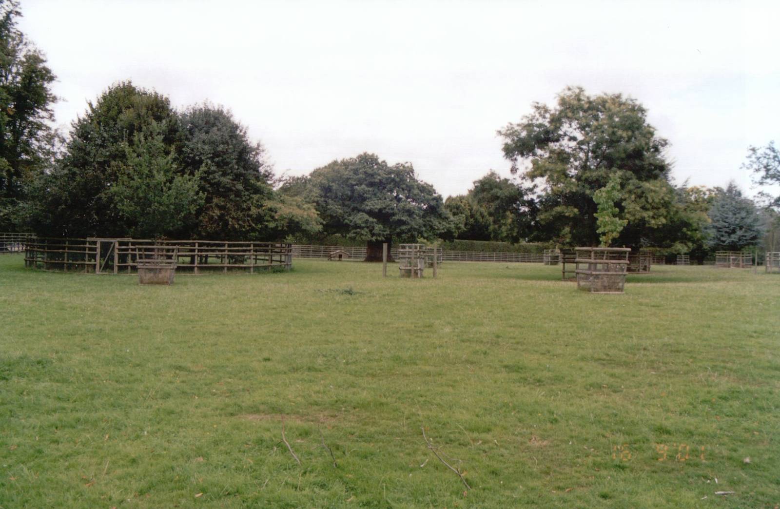 Howletts 2001 - One of the massive ungulate paddocks