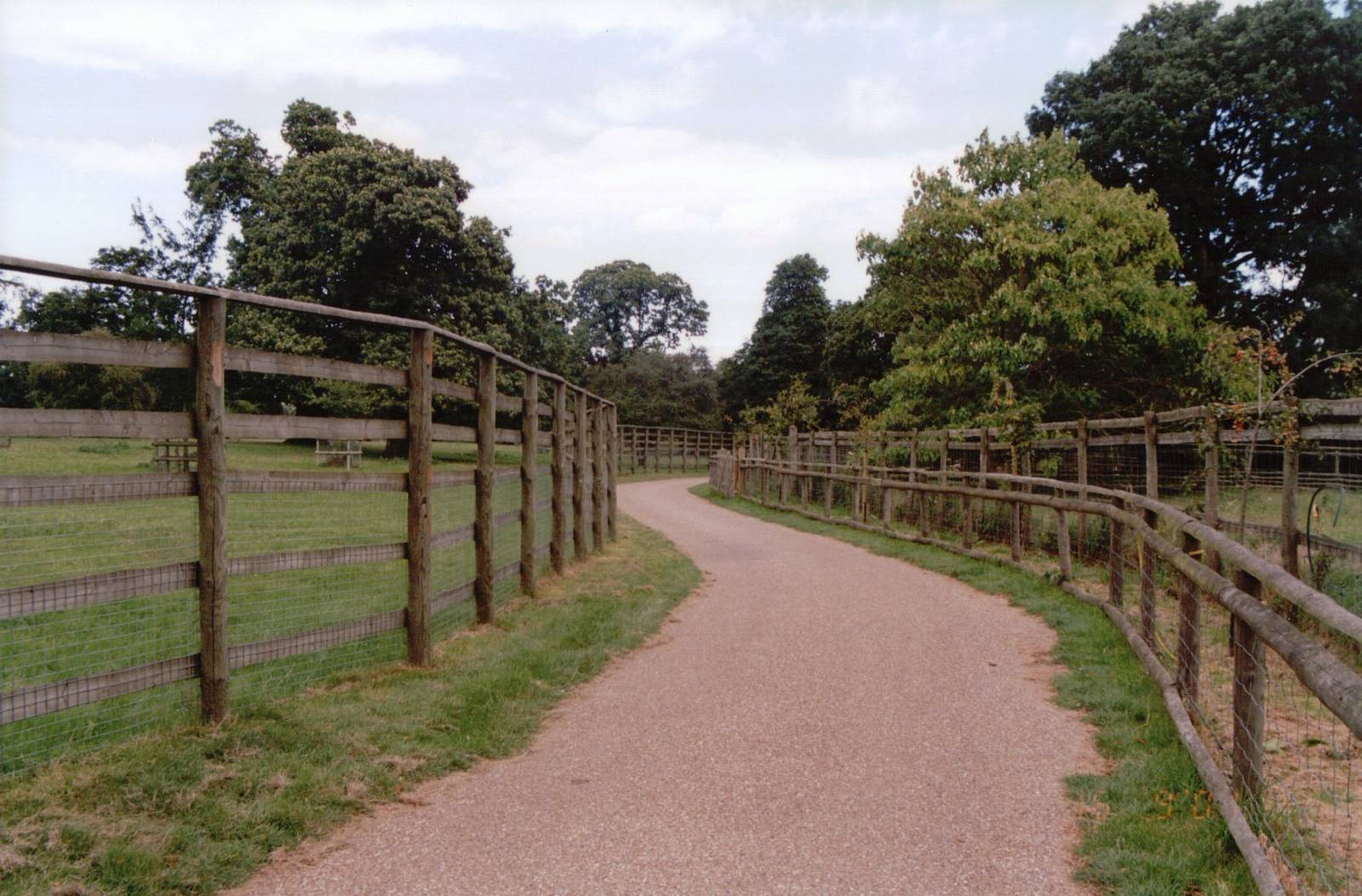 Howletts 2001 - Passage between exhibits