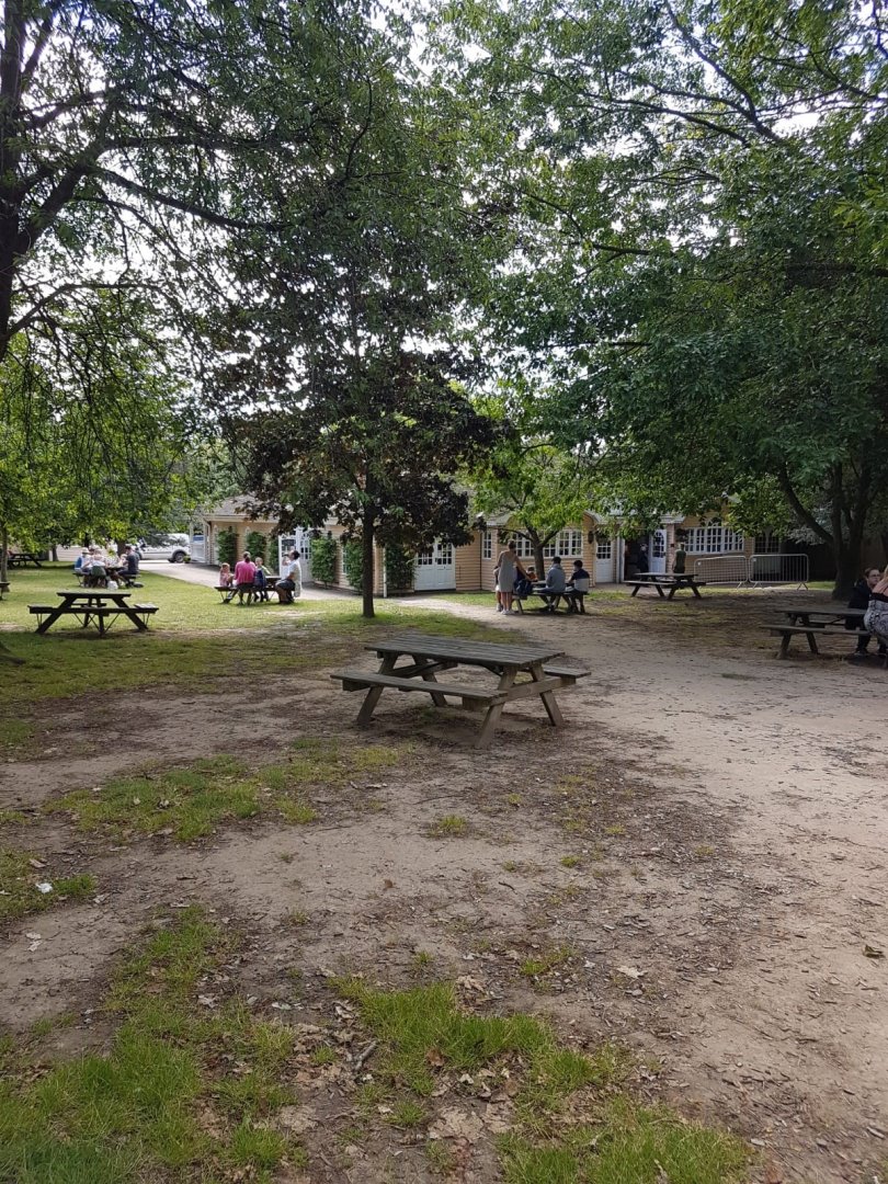 Howletts Food & Social Distancing 20/06/2020