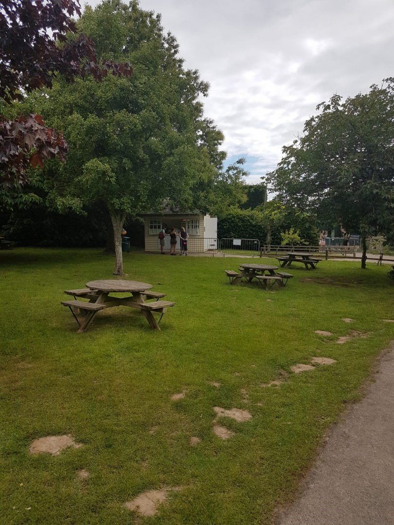 Howletts Food & Social Distancing 20/06/2020