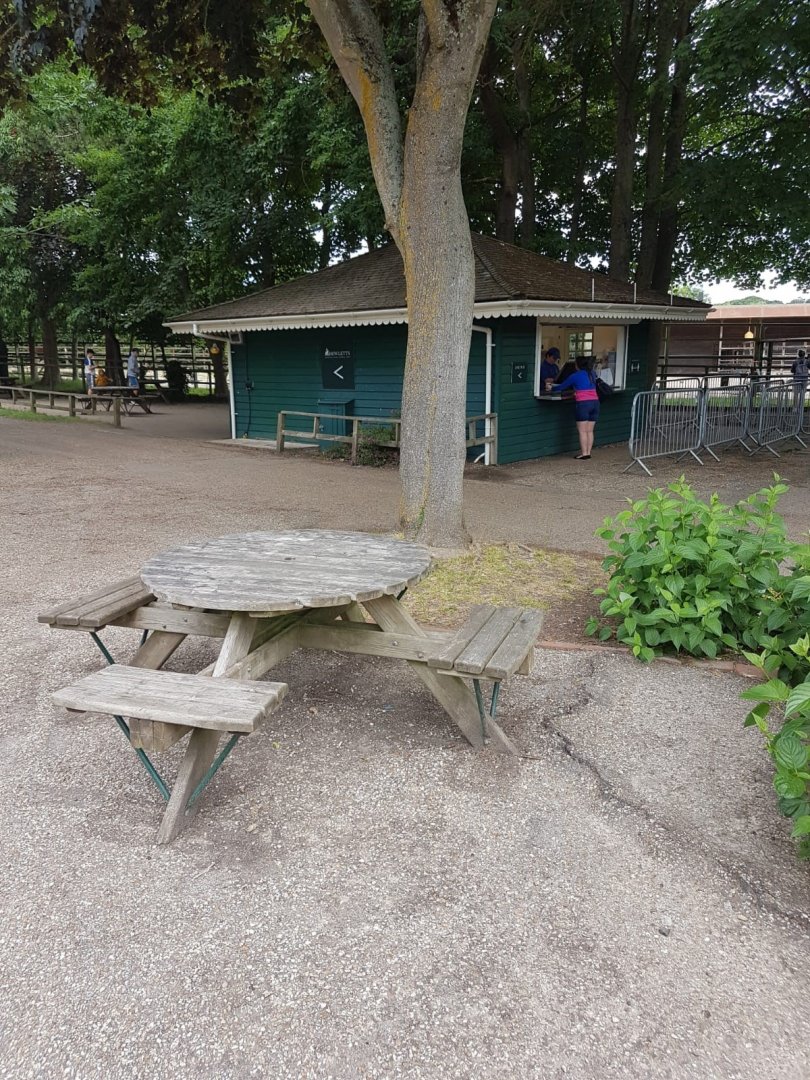 Howletts Food & Social Distancing 20/06/2020