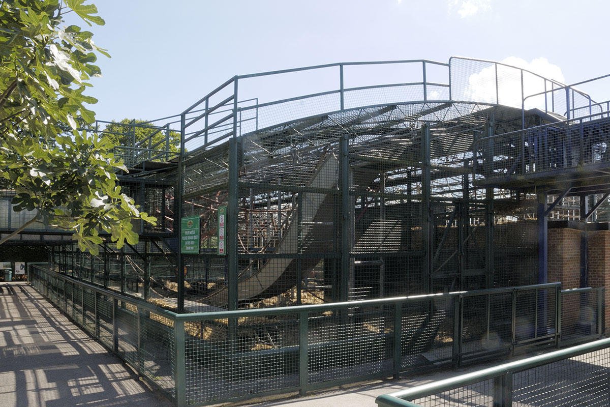 Howletts Gorillarium 2008