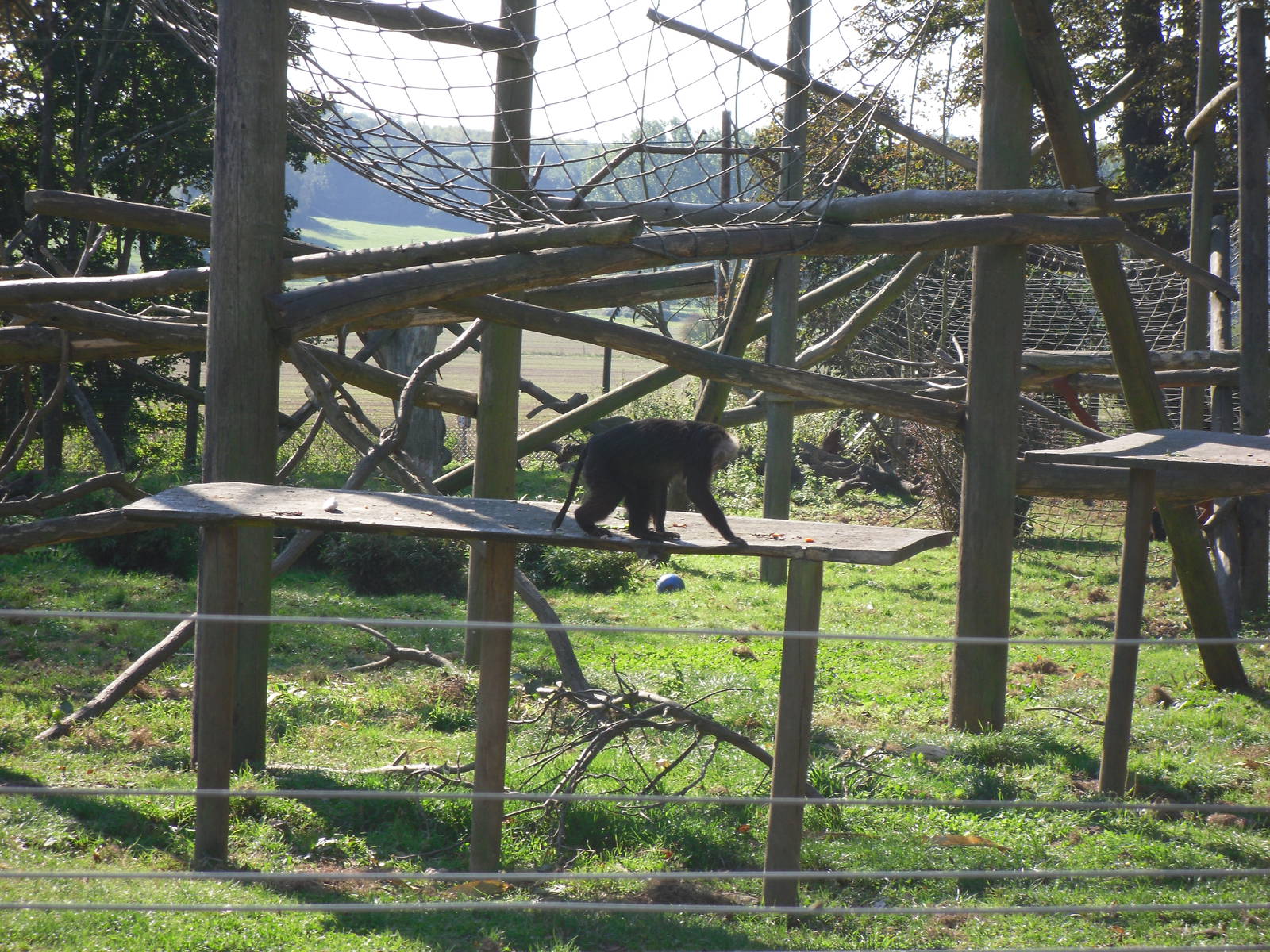Howletts Wild Animal Park 2nd October 2011
