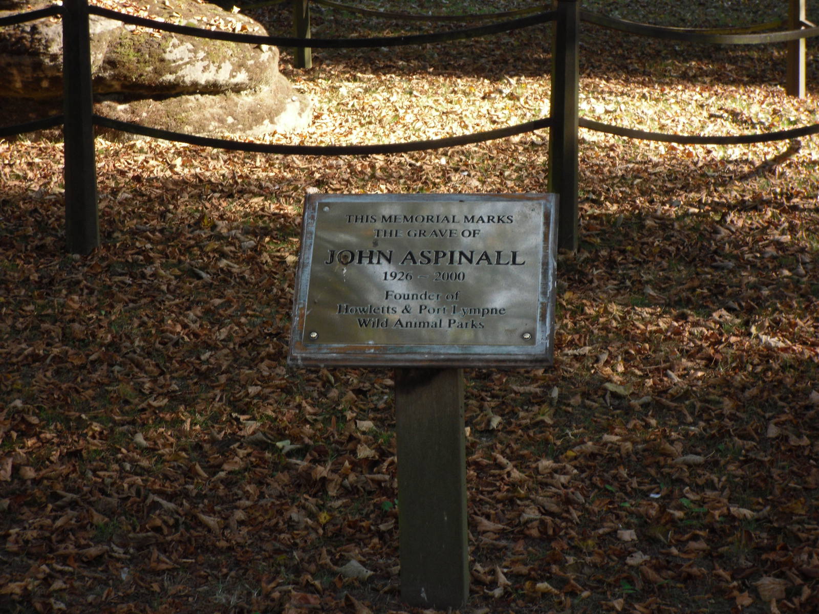 Howletts Wild Animal Park 2nd October 2011