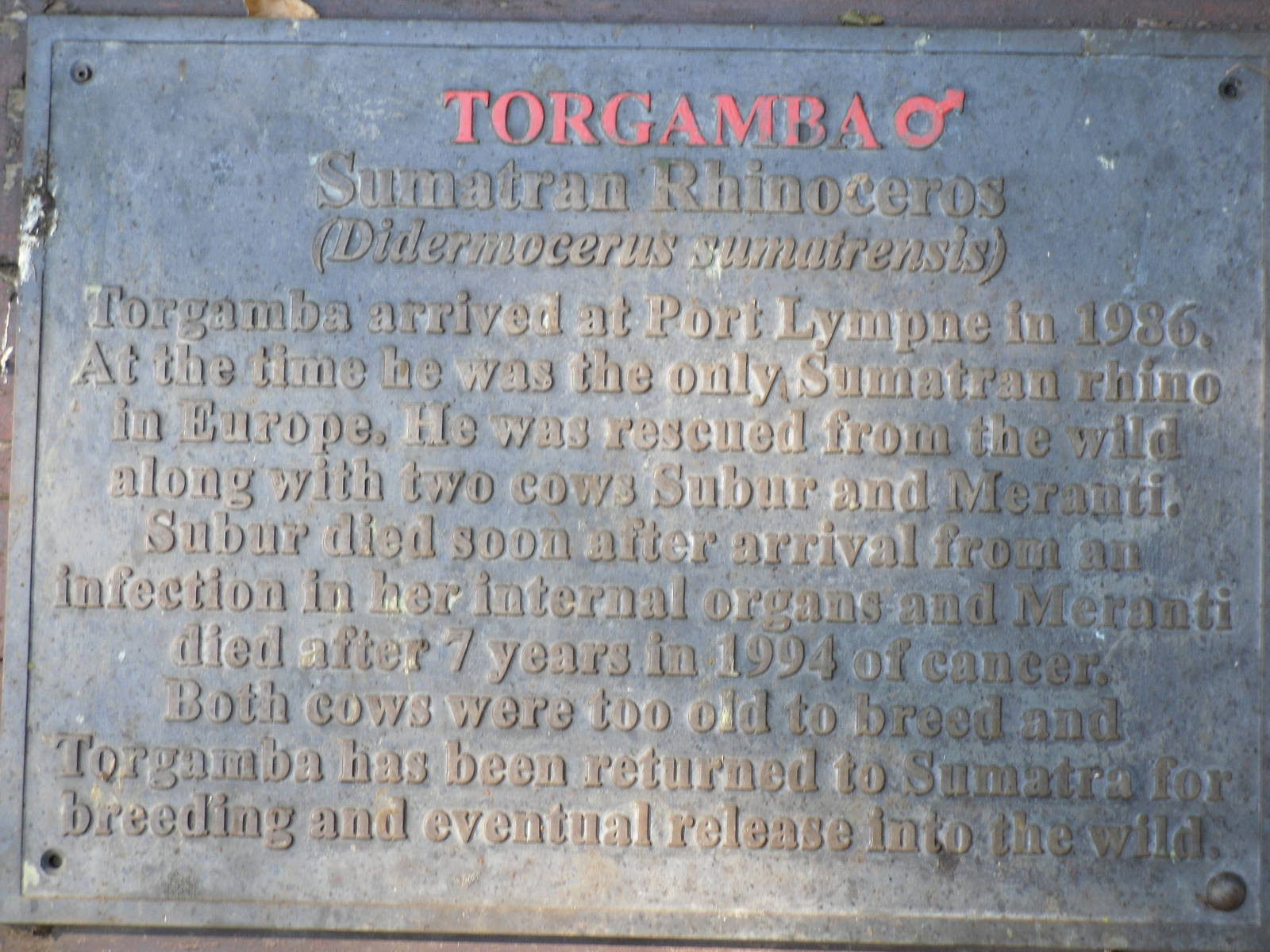 Howletts Wild Animal Park 2nd October 2011