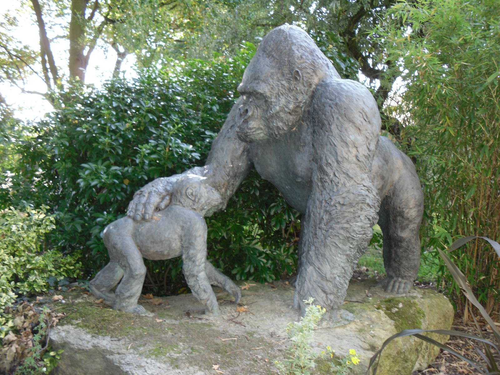Howletts Wild Animal Park 2nd October 2011