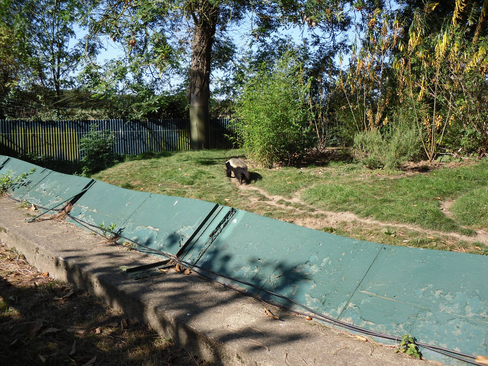 Howletts Wild Animal Park 2nd October 2011