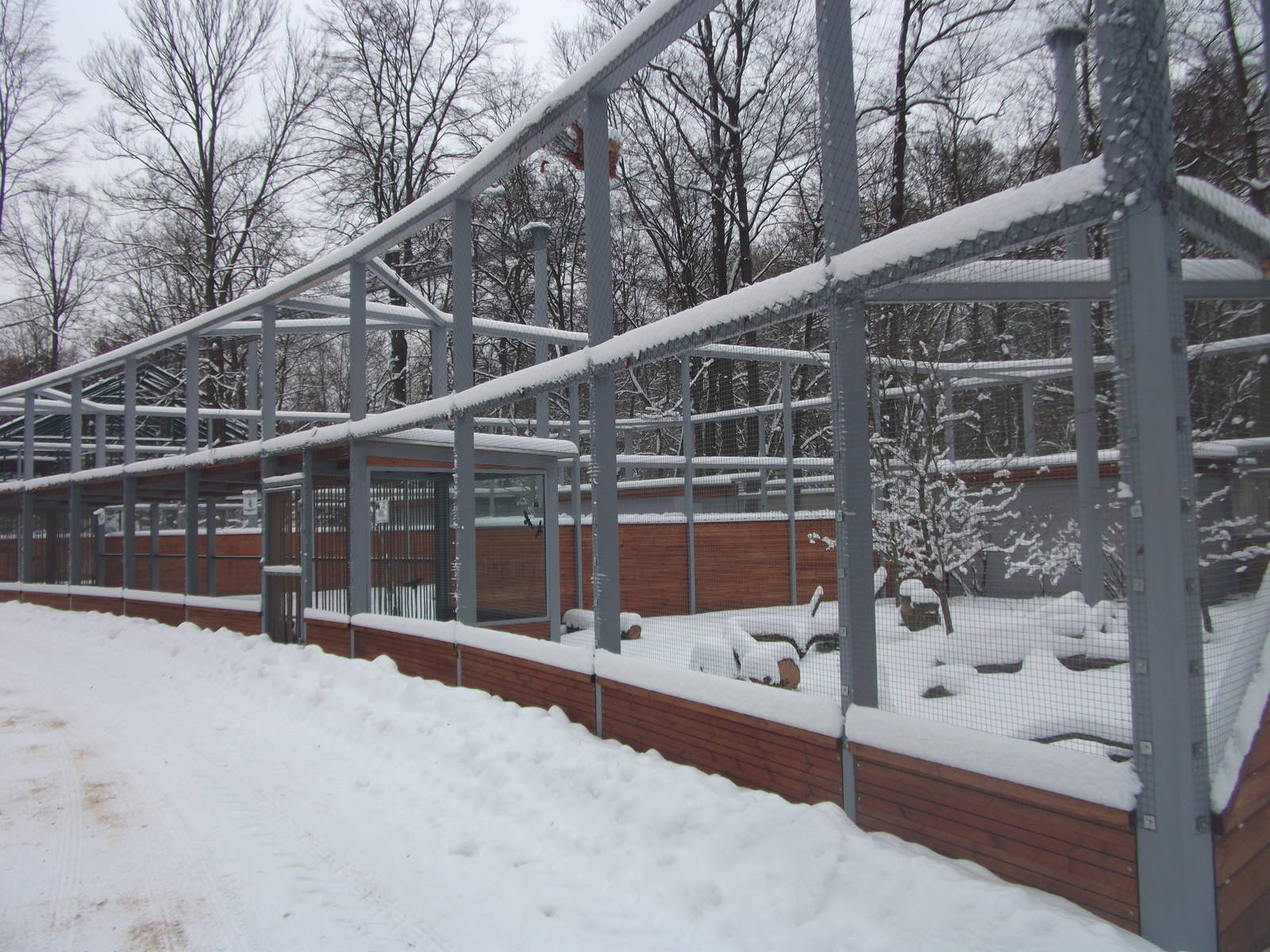 Hronbills and ranes aviaries