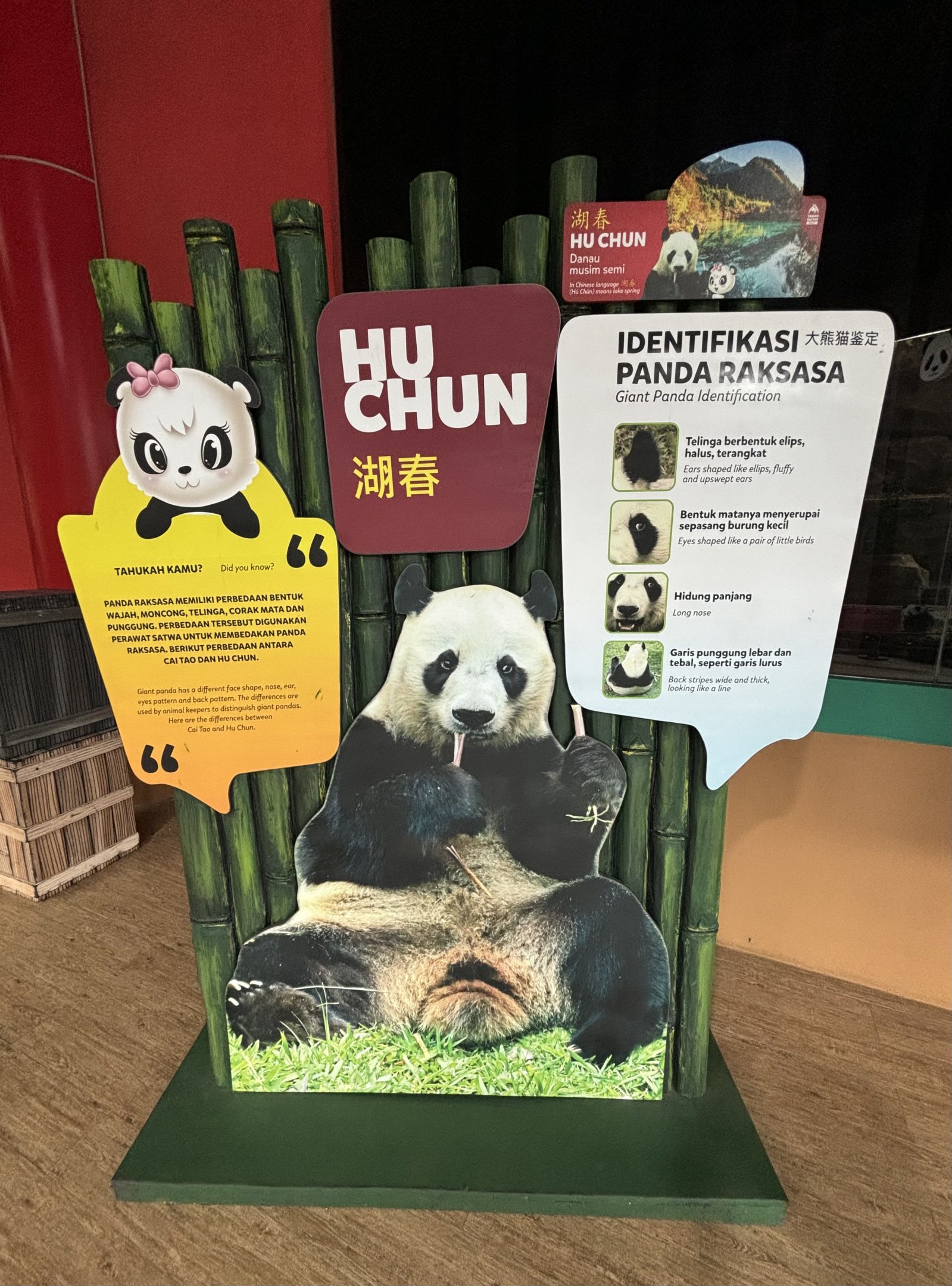 Hu Chun - Giant Panda Complex