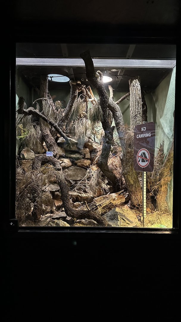 Huachuca Mountains Terrarium