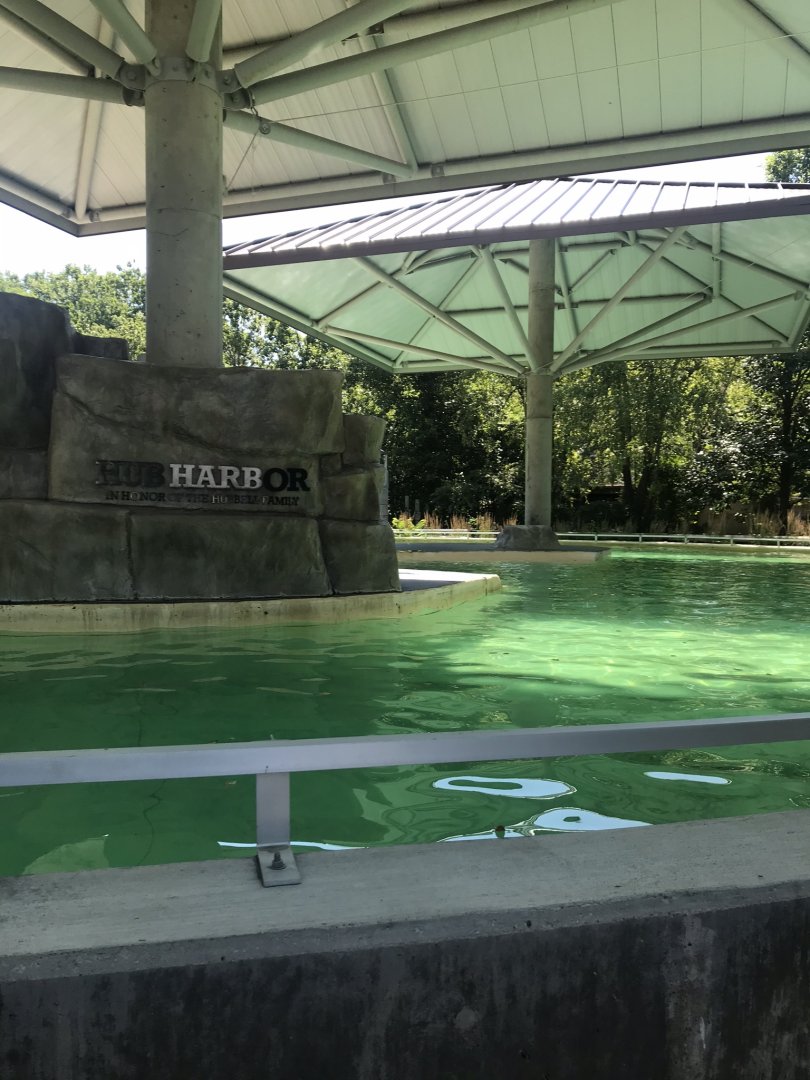 Hub Harbor seal & sea lion exhibit