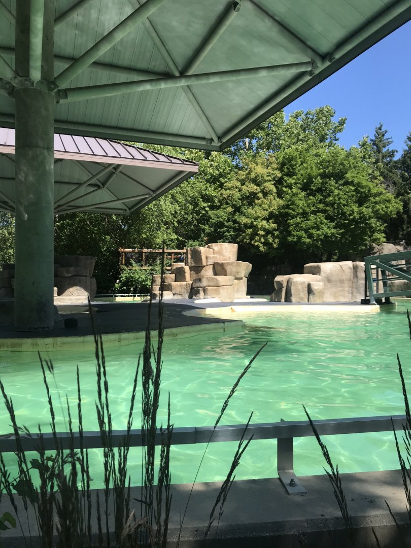 Hub Harbor seal & sea lion exhibit