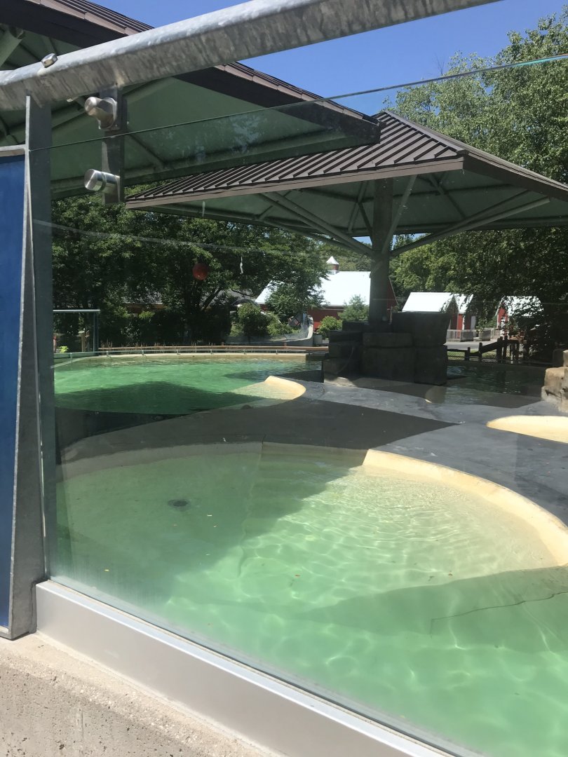 Hub Harbor seal & sea lion exhibit