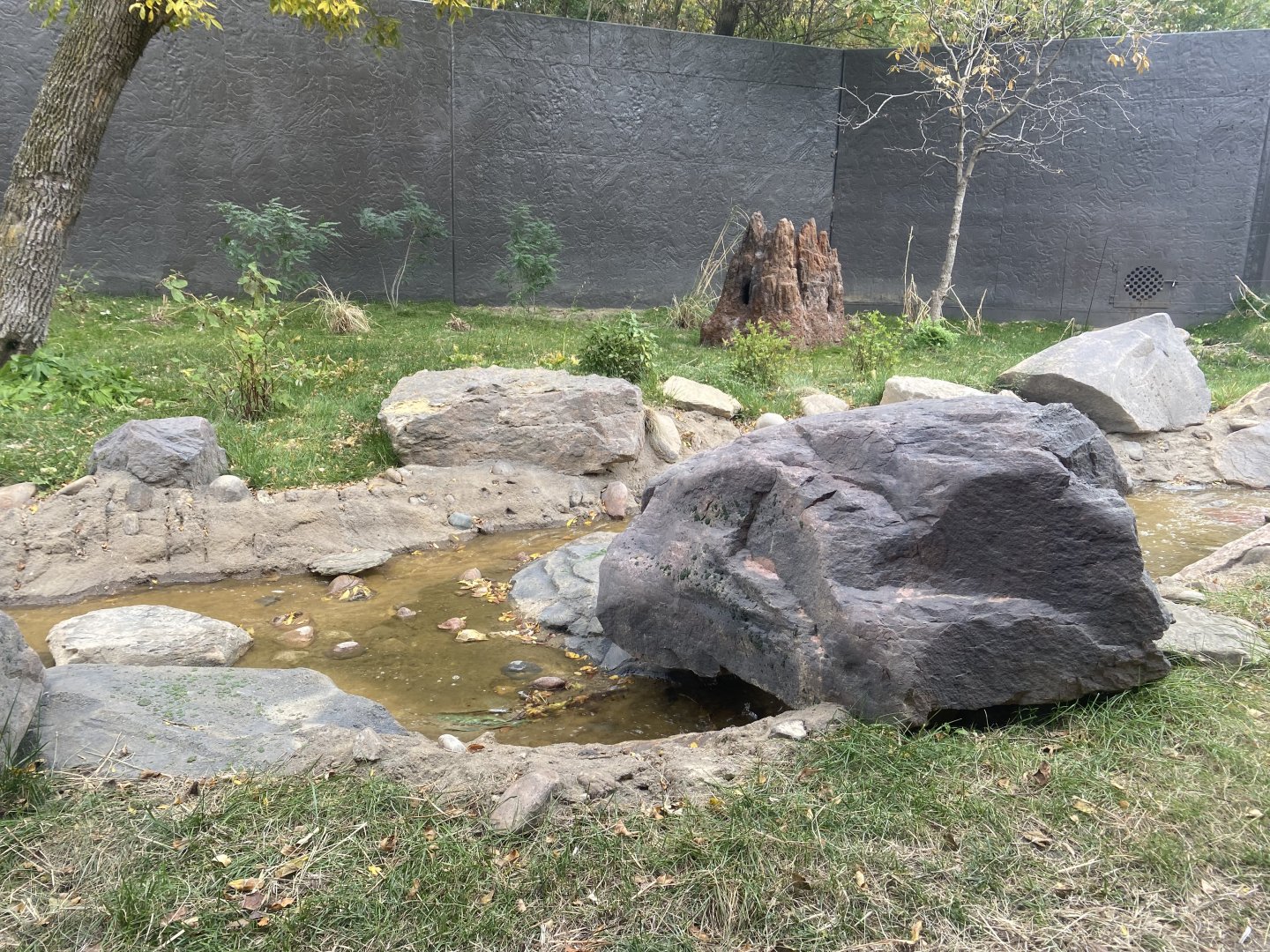 Hubbard Gorilla Valley - Middle Exhibit